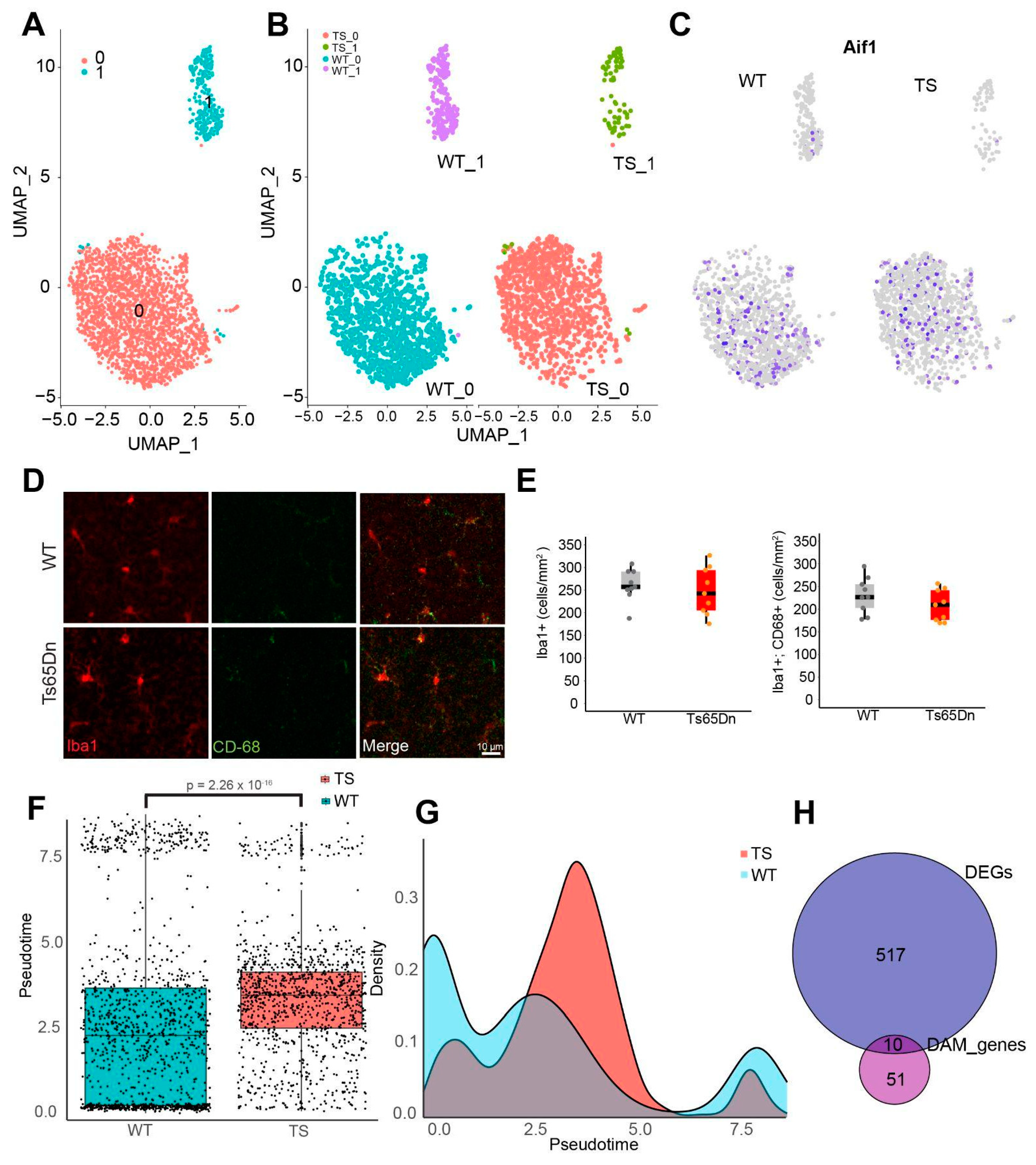Preprints 98115 g003