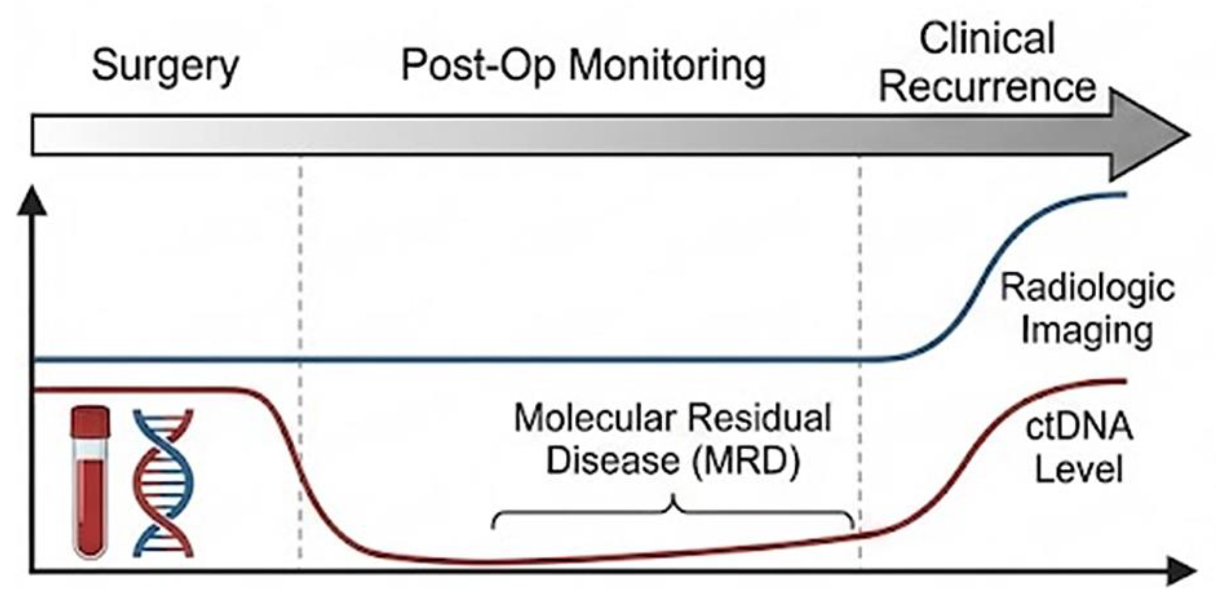 Preprints 202132 g003