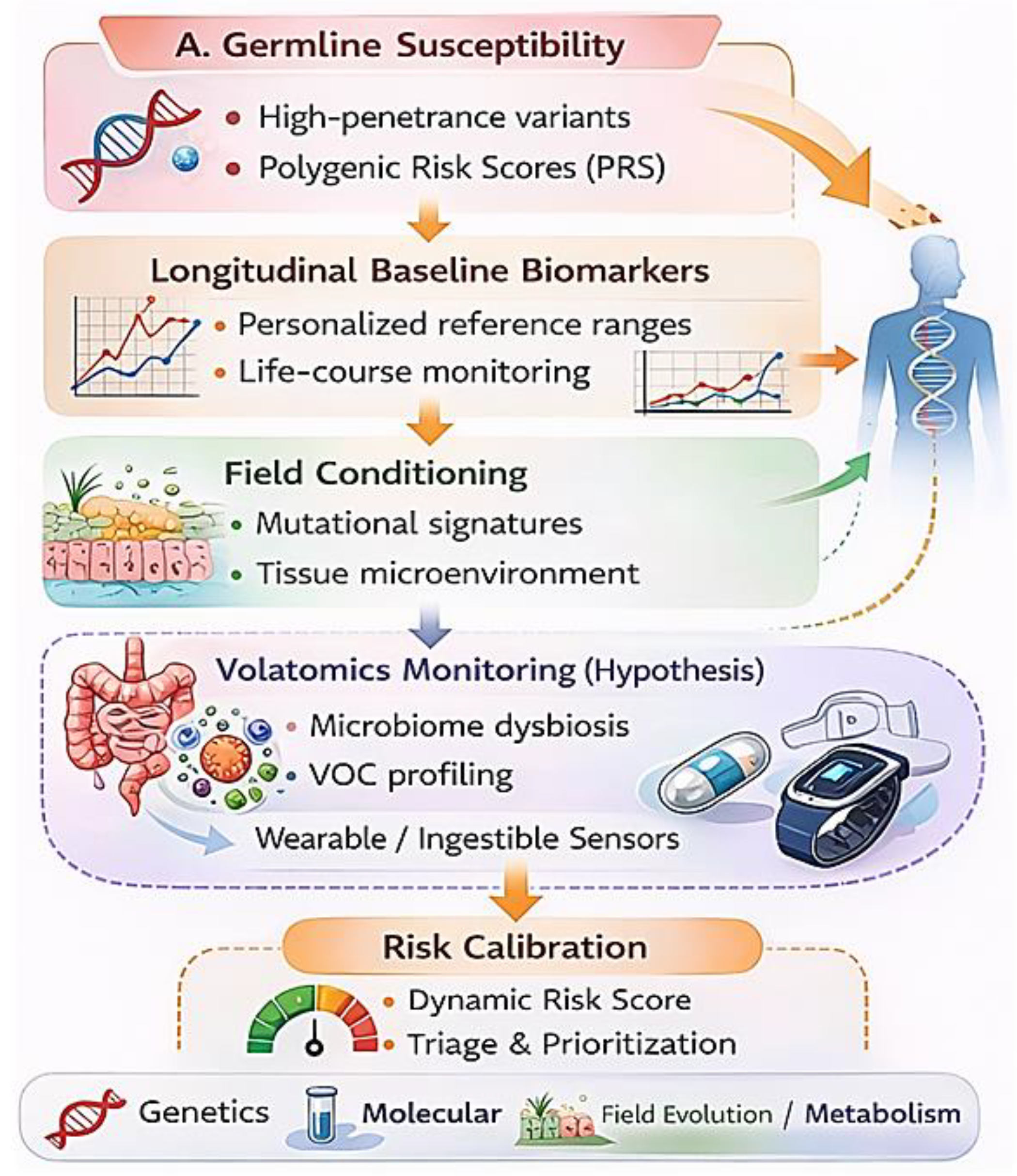 Preprints 202132 g005
