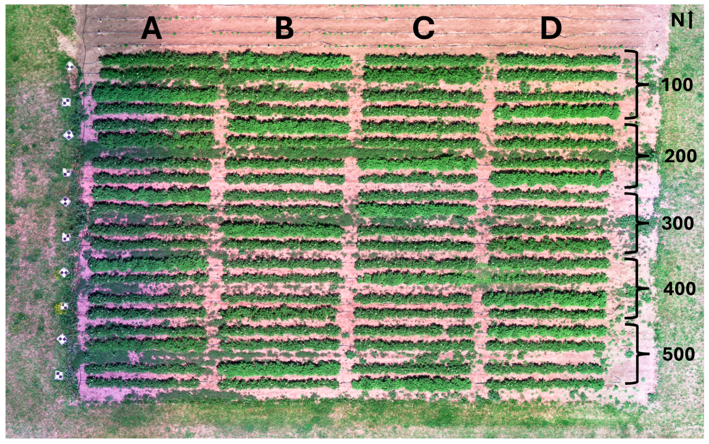 Preprints 149729 g001