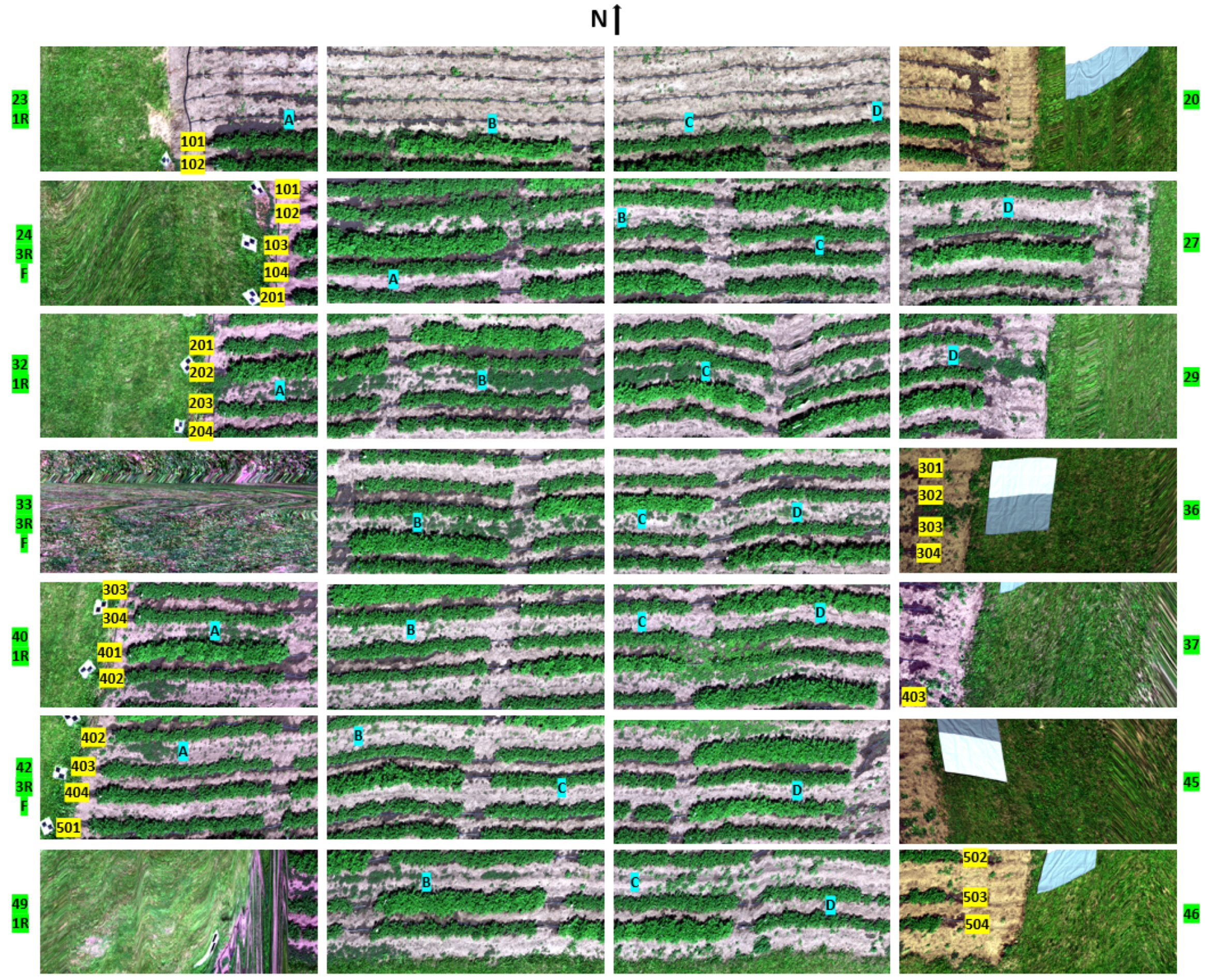 Preprints 149729 g003