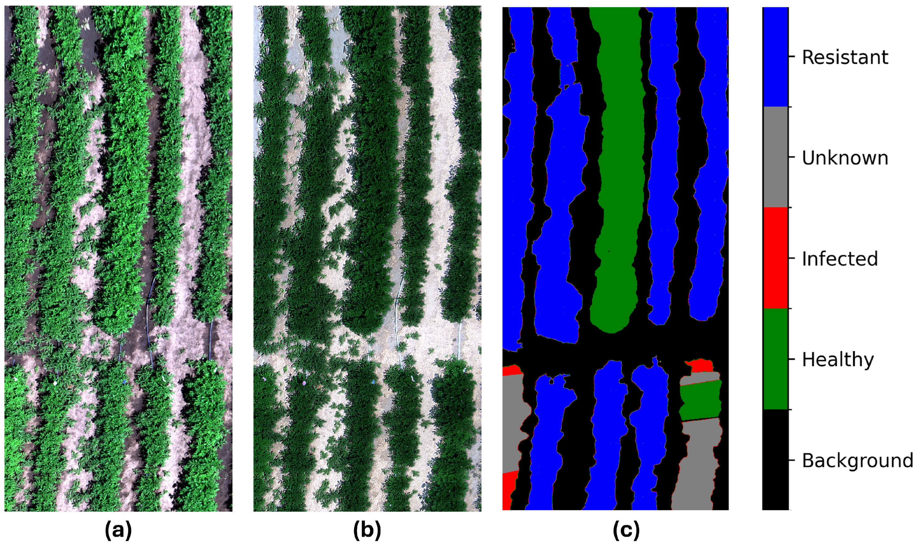 Preprints 149729 g005