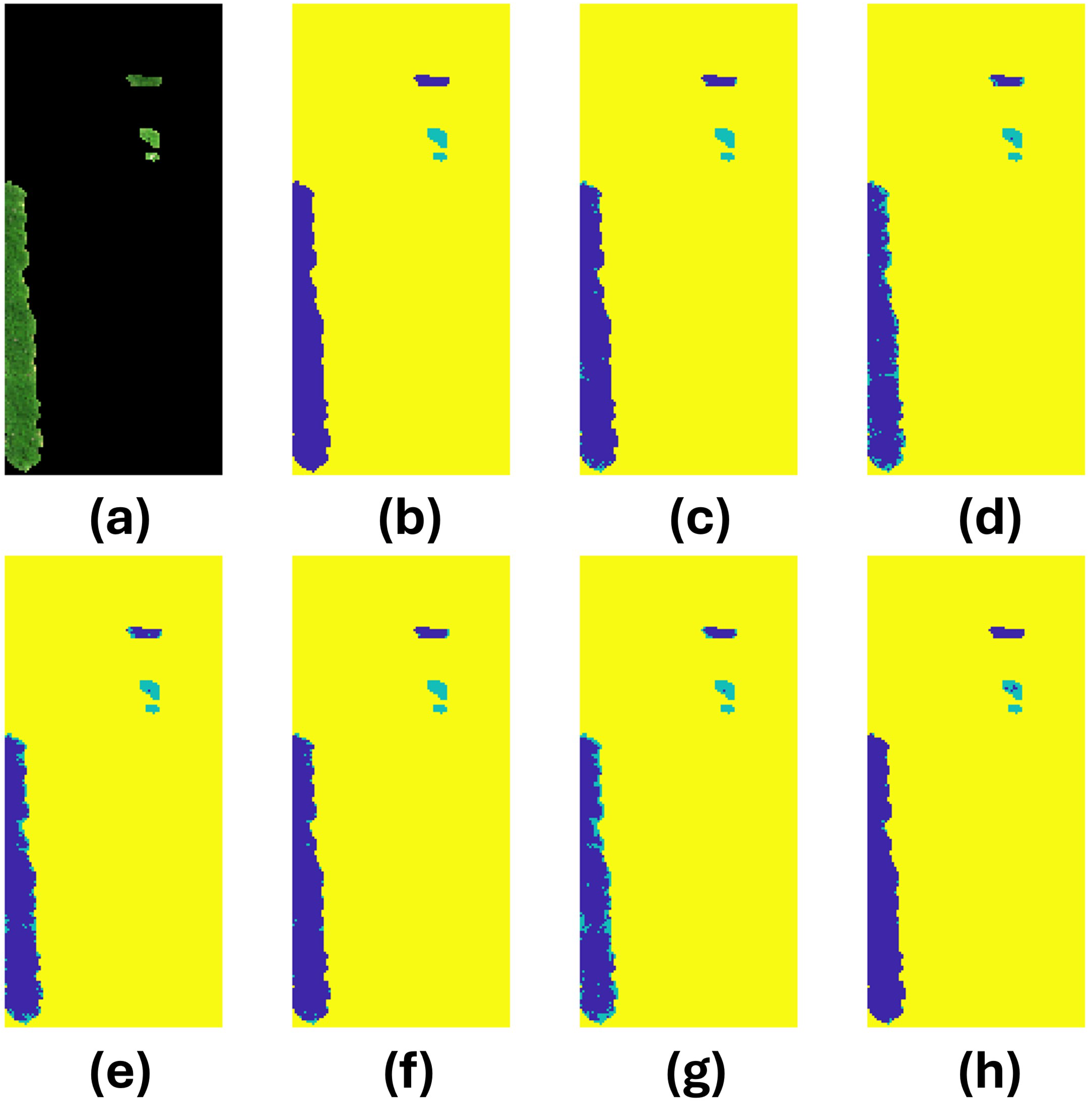 Preprints 149729 g012