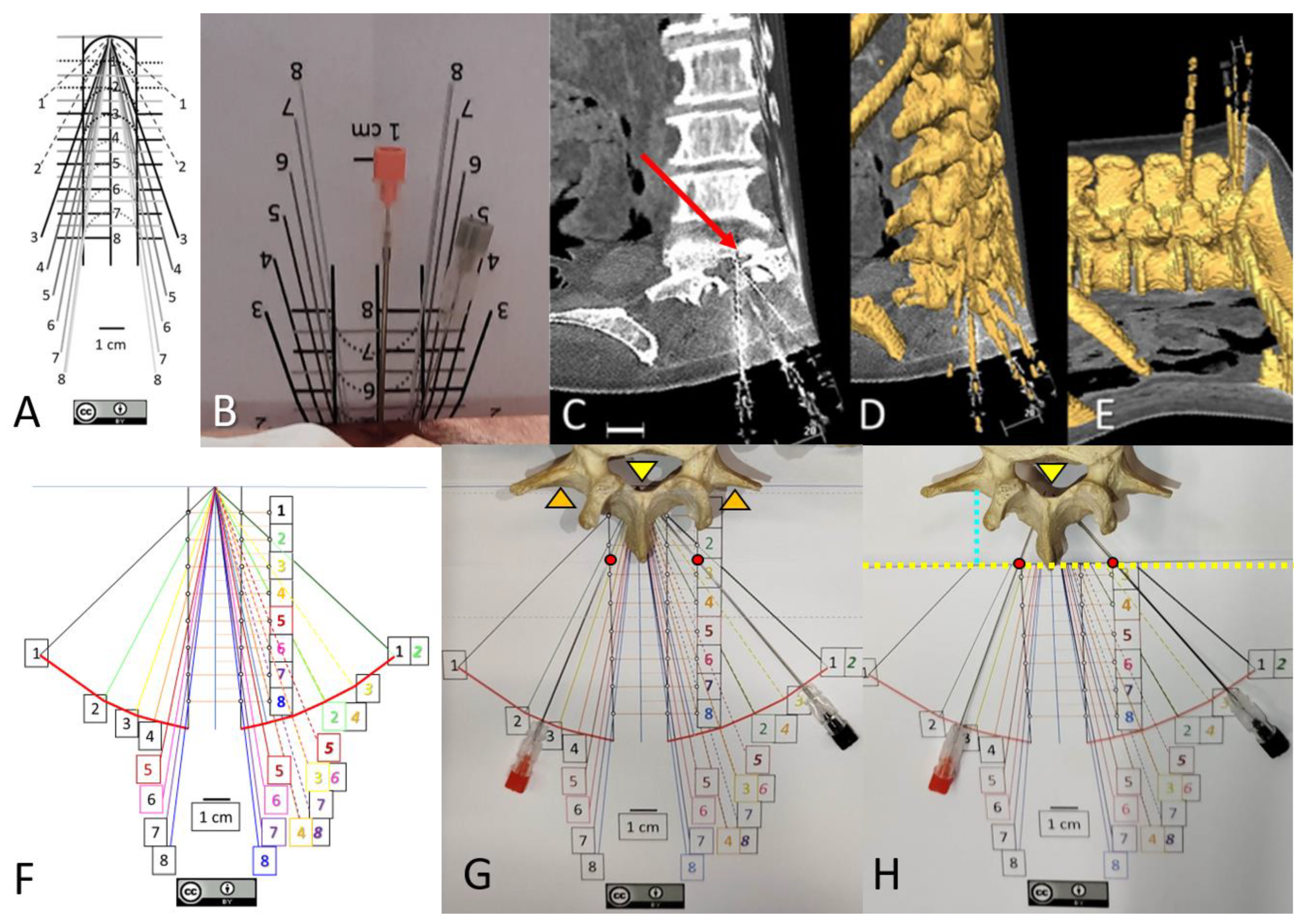 Preprints 183817 g001