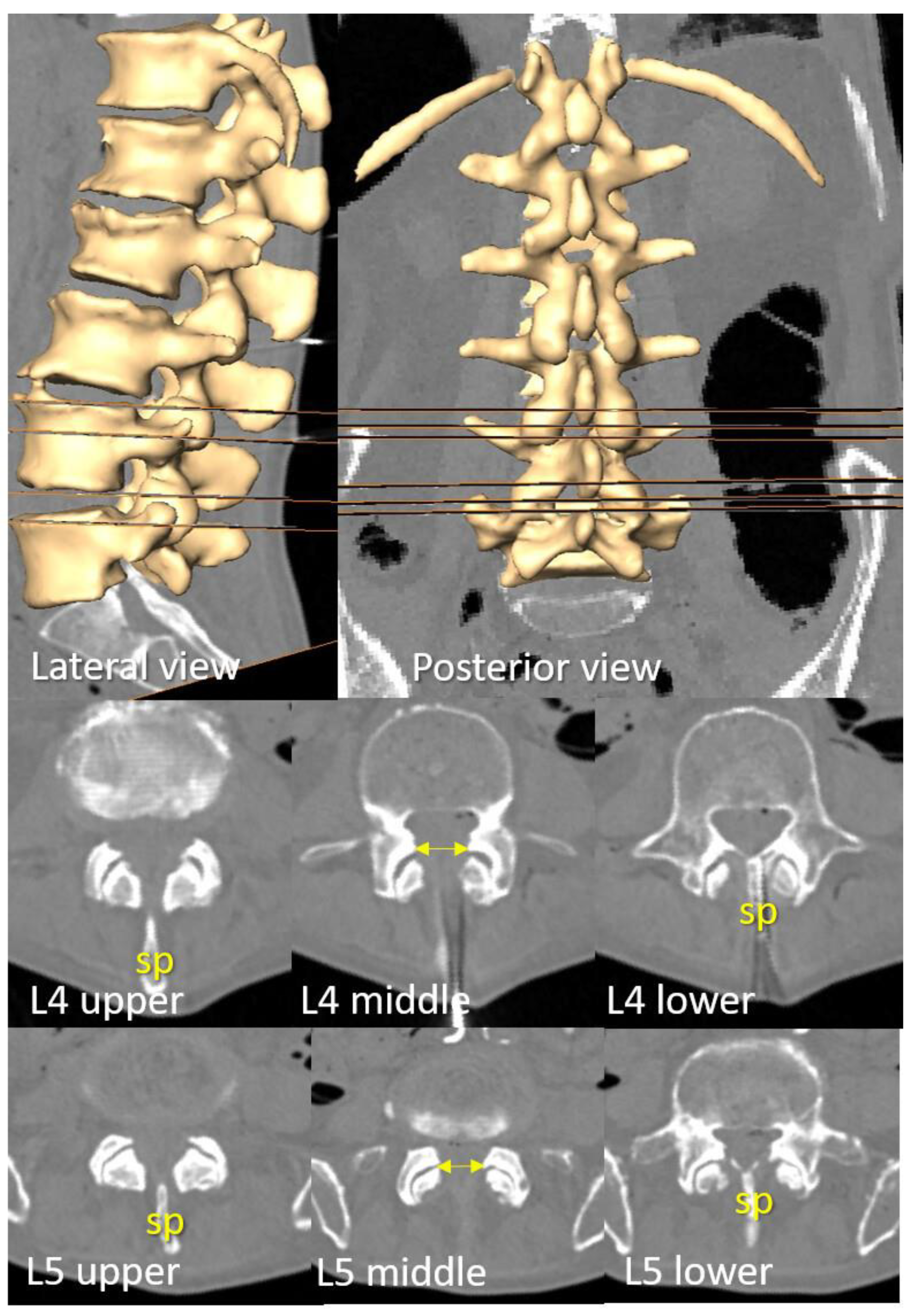 Preprints 183817 g003
