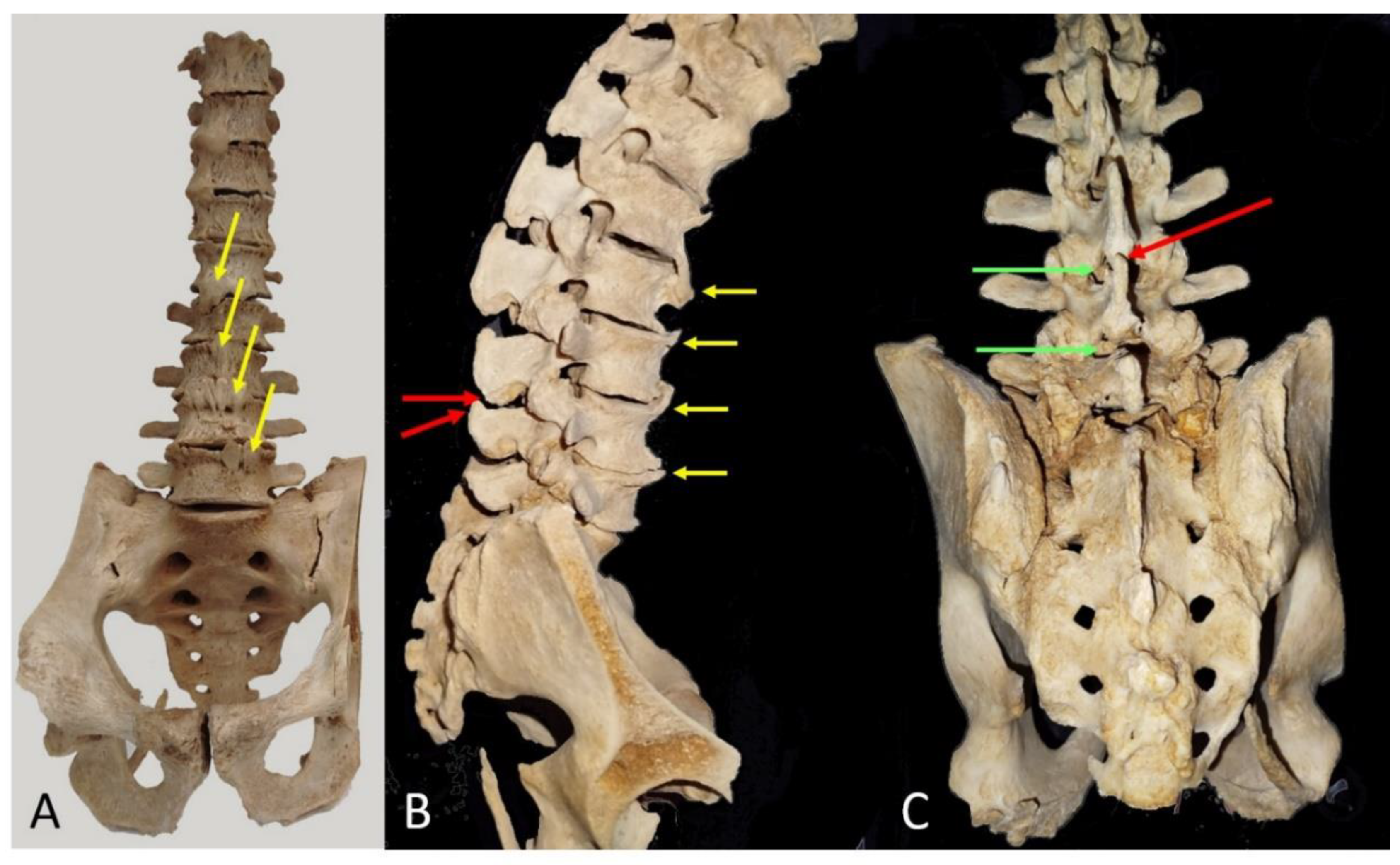 Preprints 183817 g005