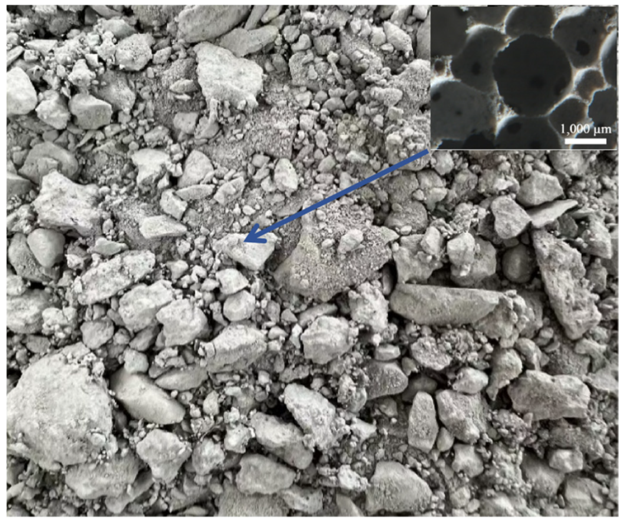 Preprints 206545 g001