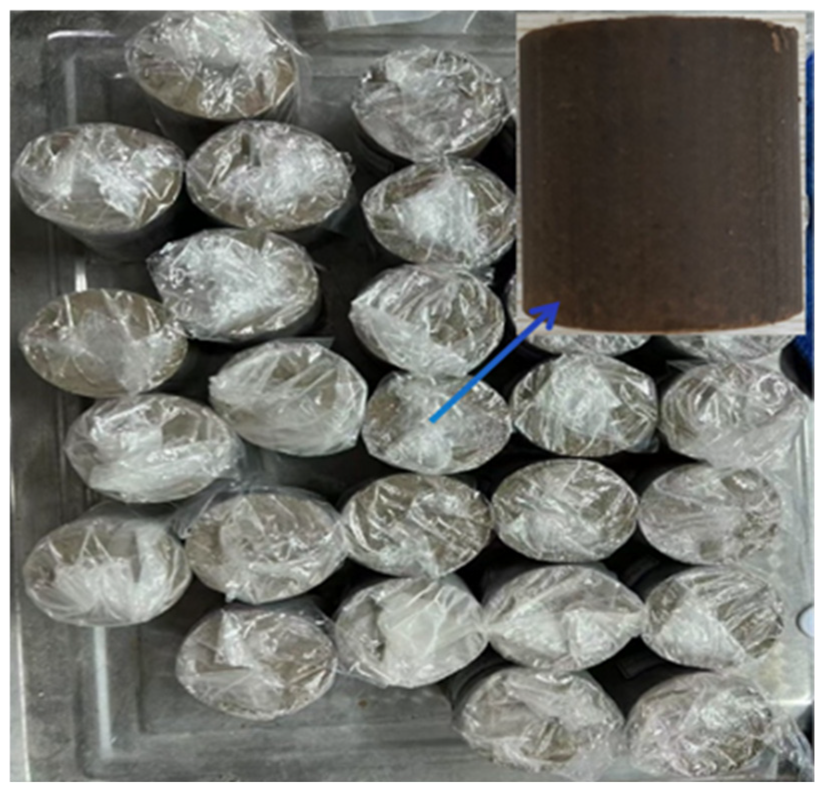 Preprints 206545 g003