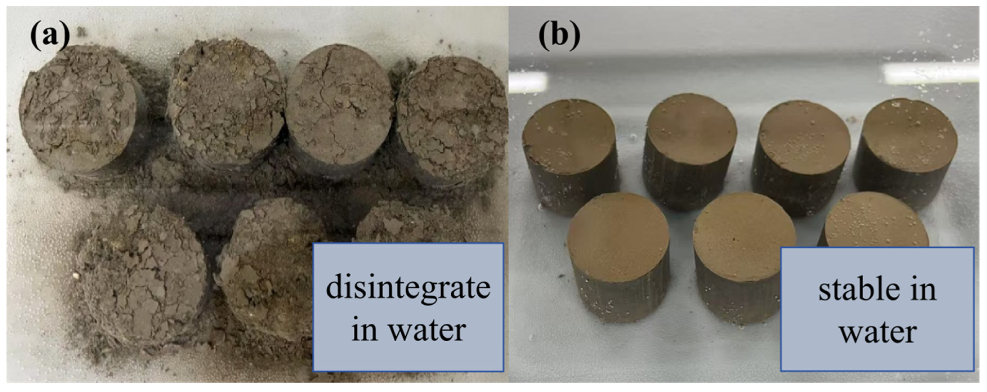 Preprints 206545 g007