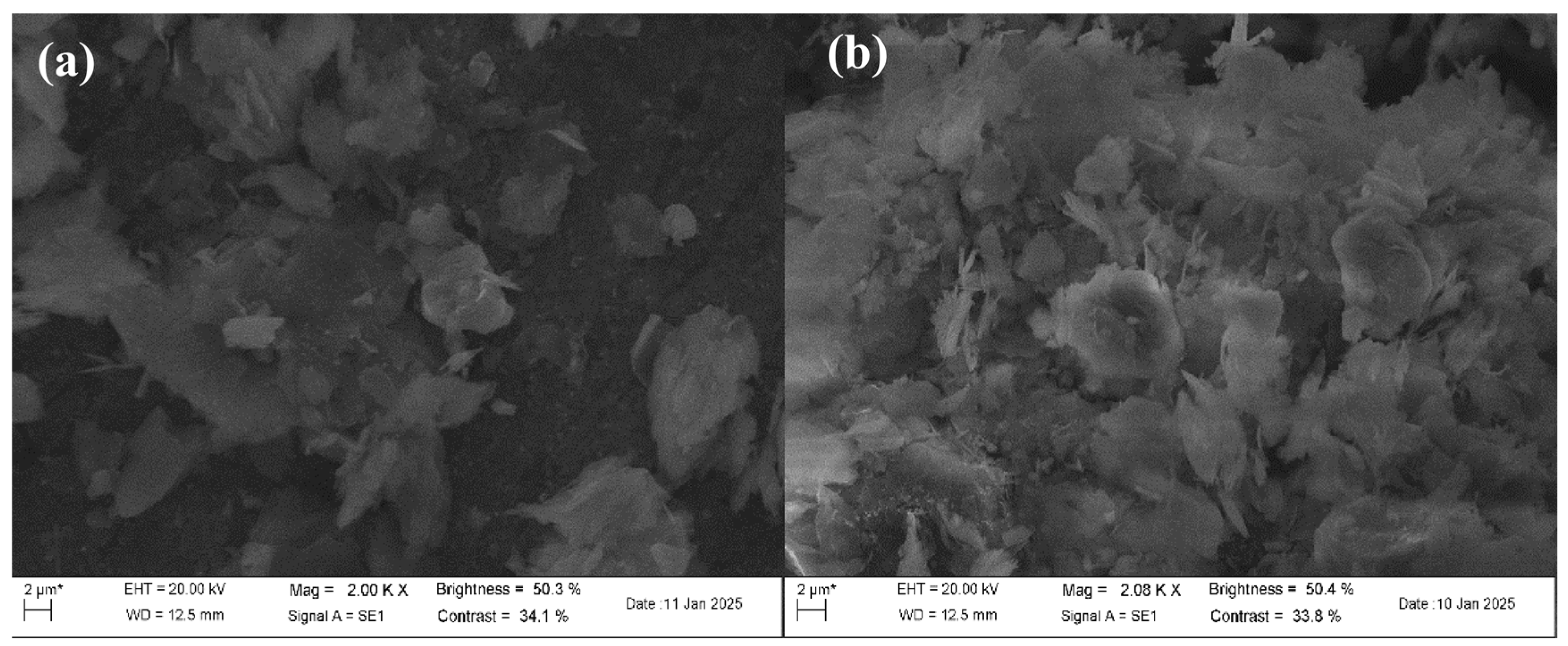 Preprints 206545 g013