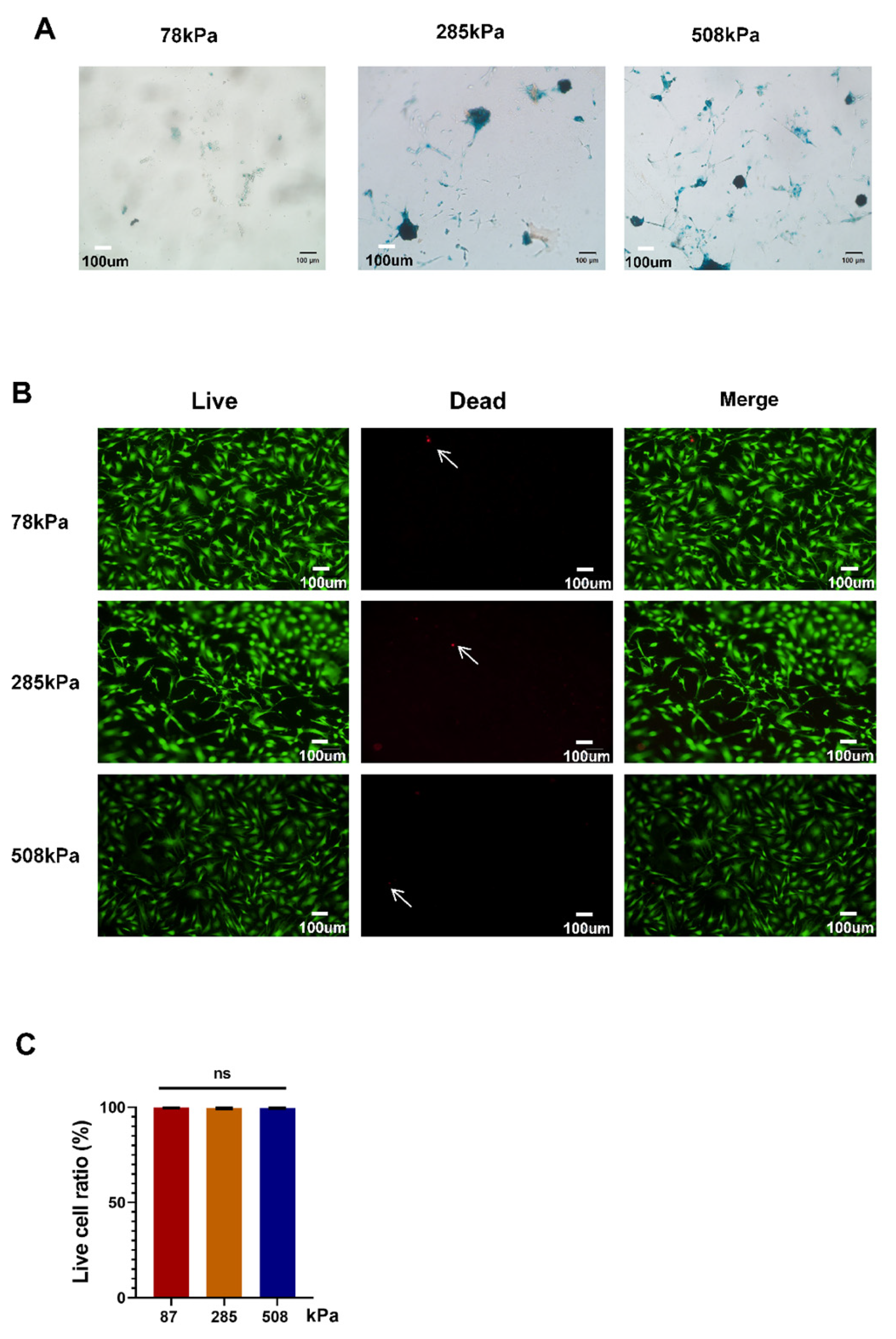 Preprints 163585 g002