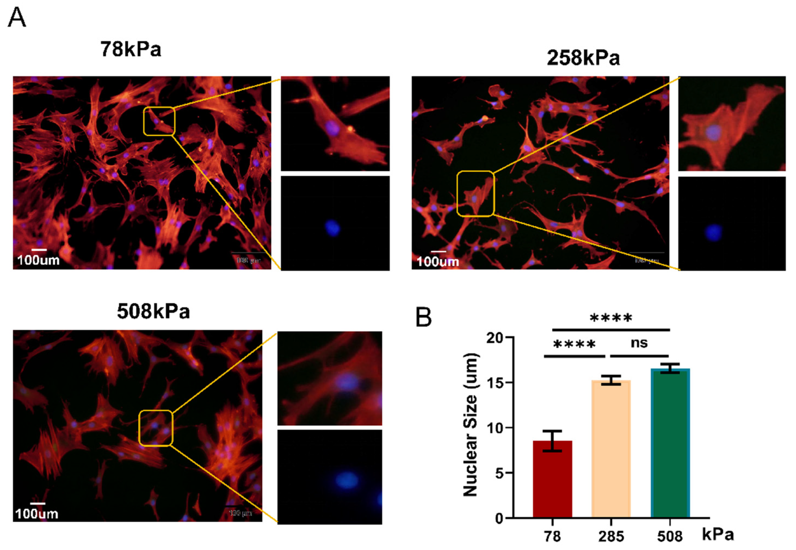 Preprints 163585 g003