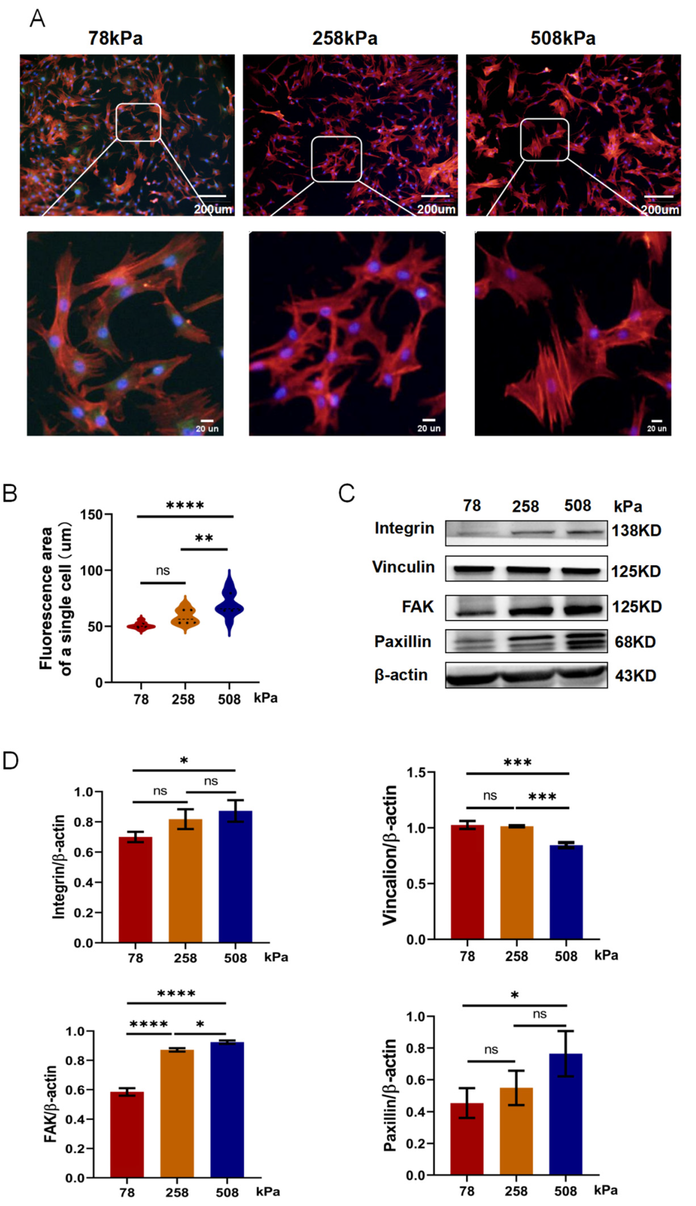 Preprints 163585 g004