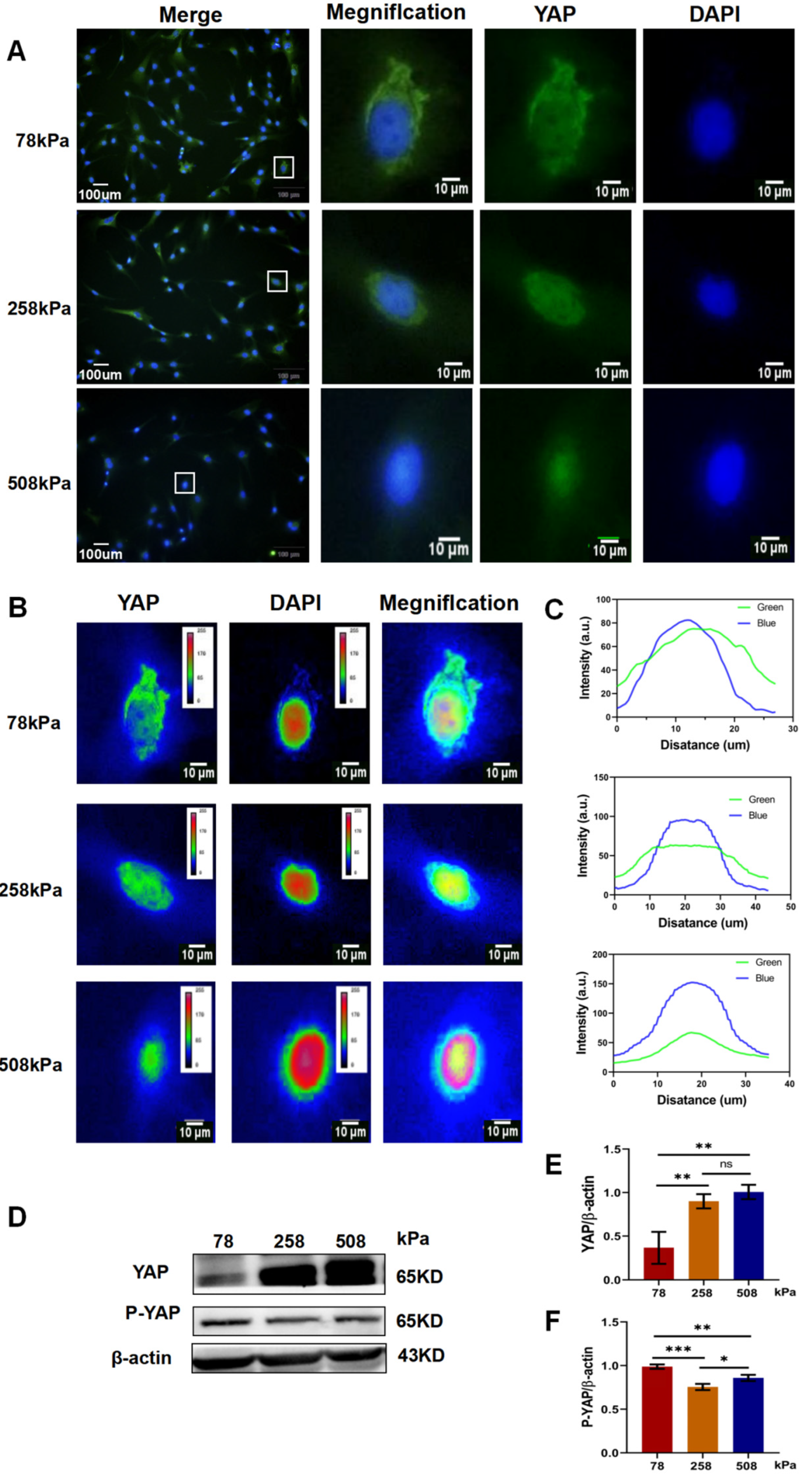 Preprints 163585 g005