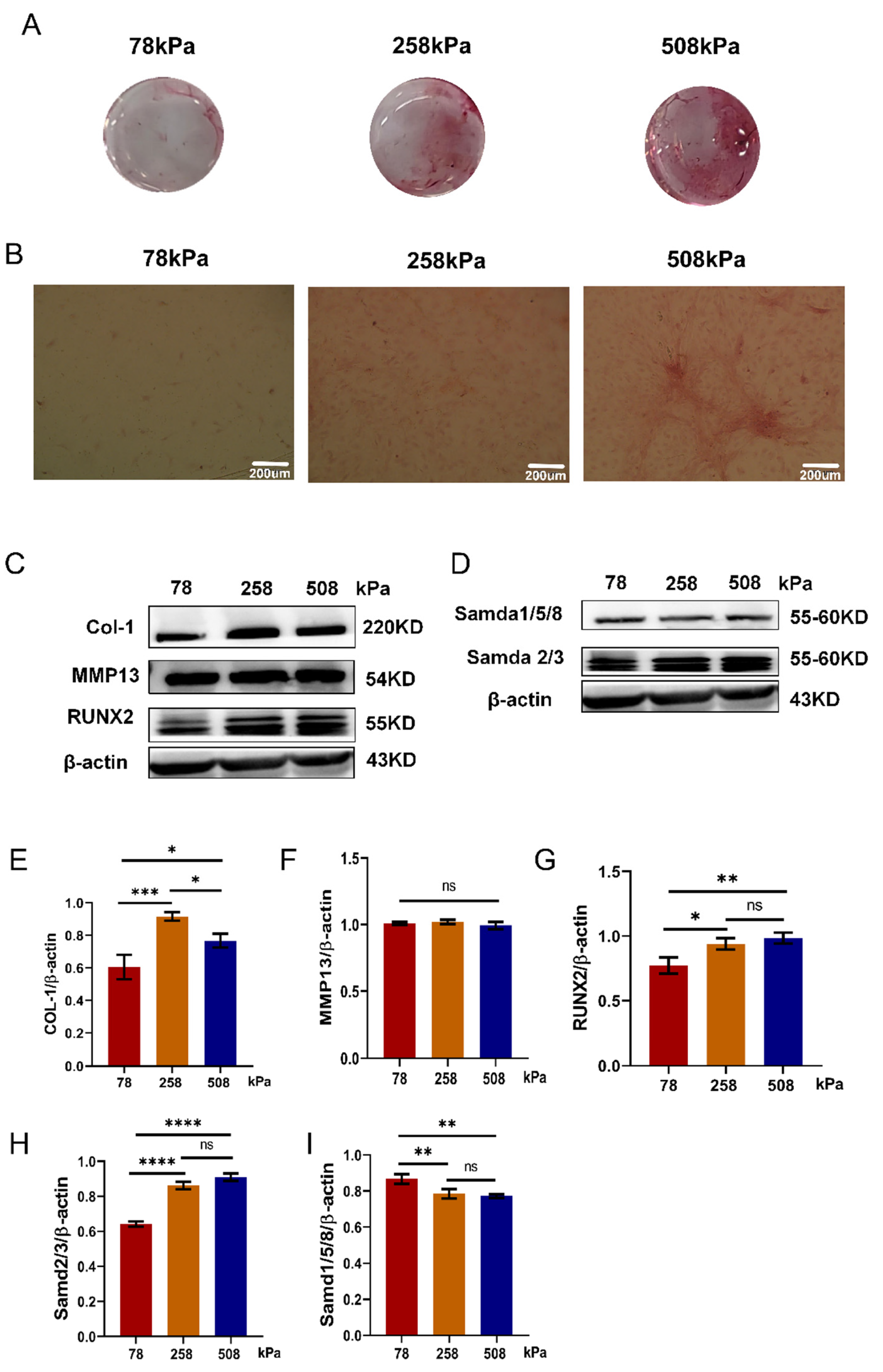 Preprints 163585 g006
