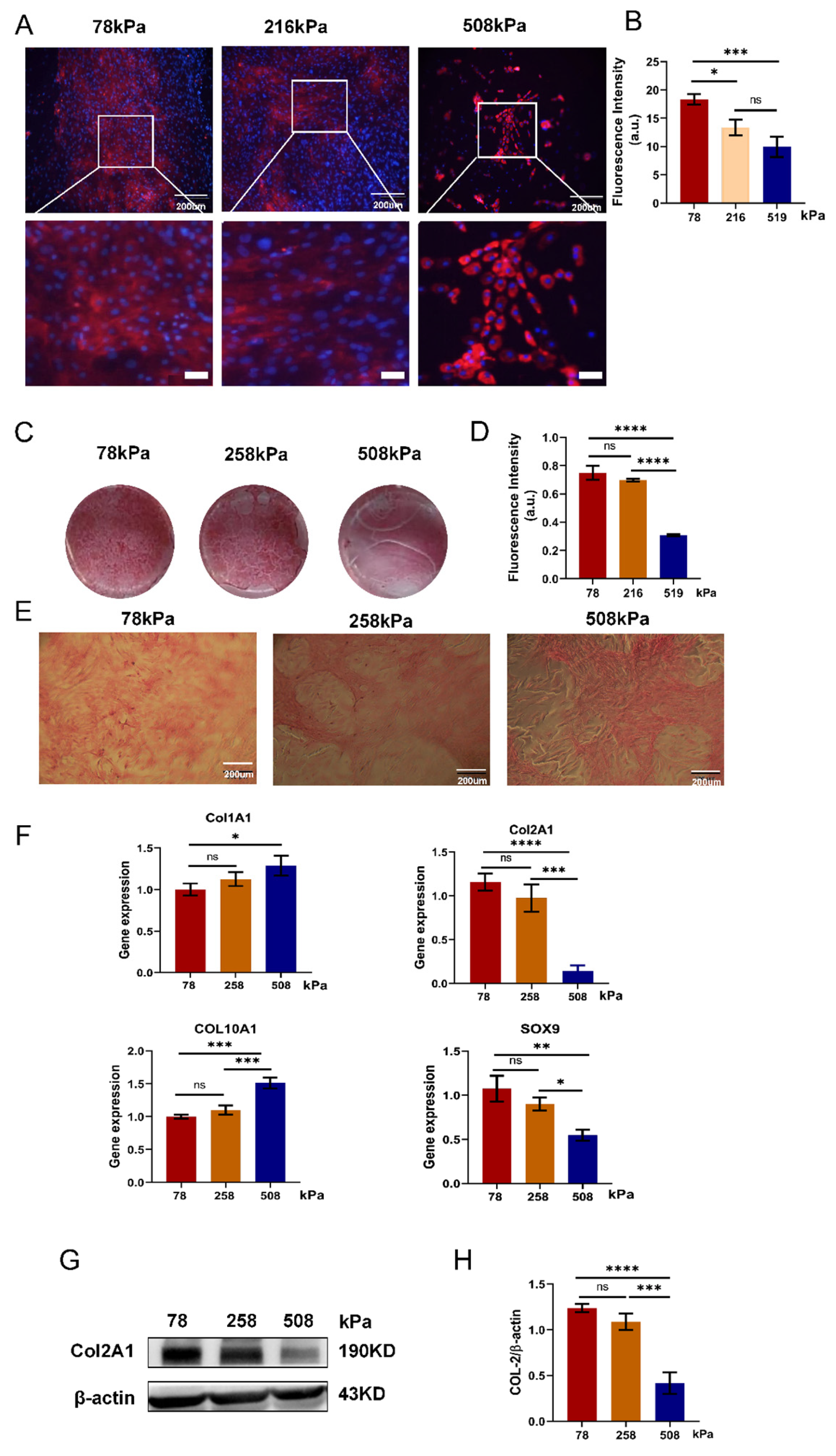 Preprints 163585 g007
