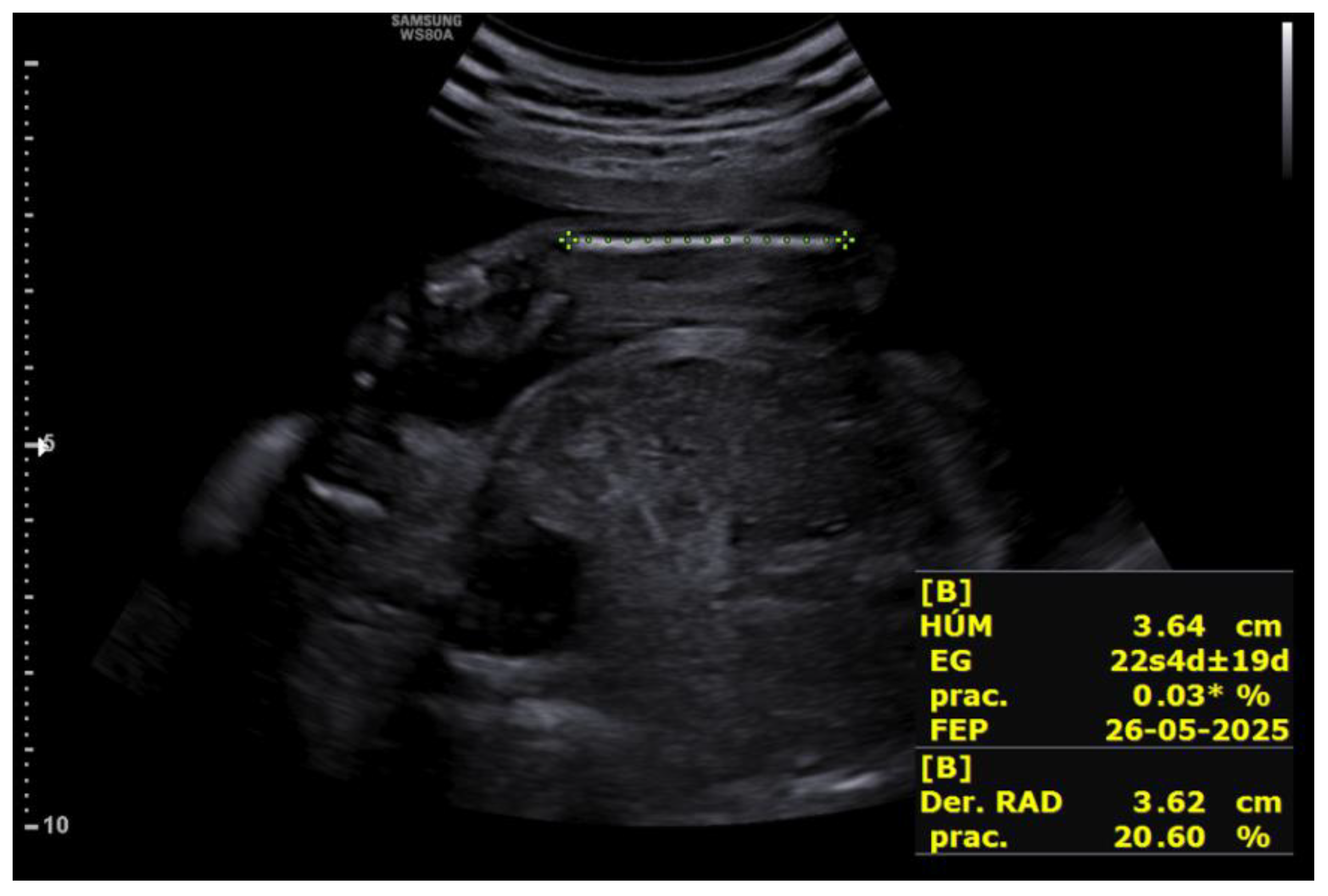 Preprints 188995 g005