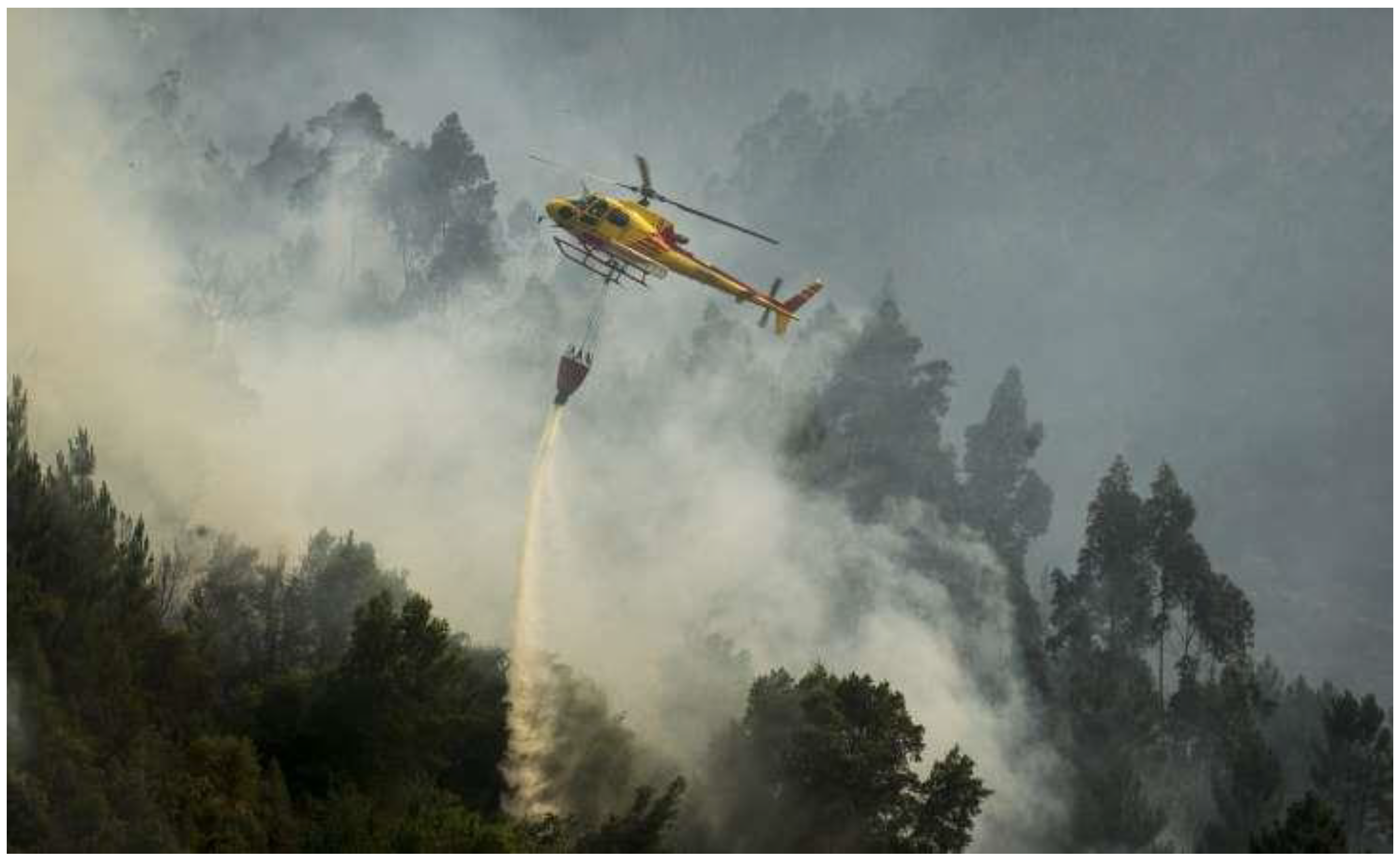 Preprints 170453 g002