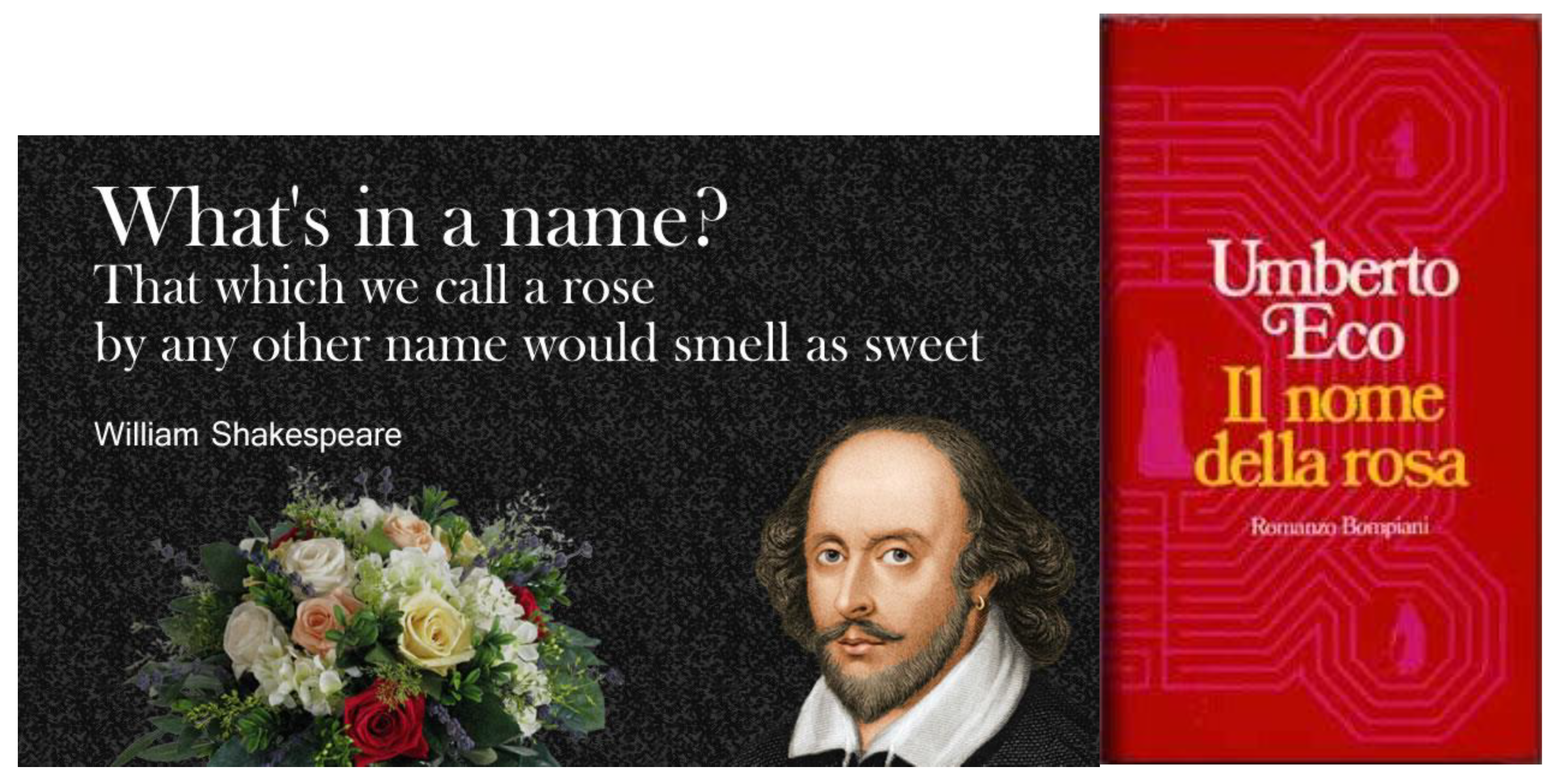 Preprints 188917 g001