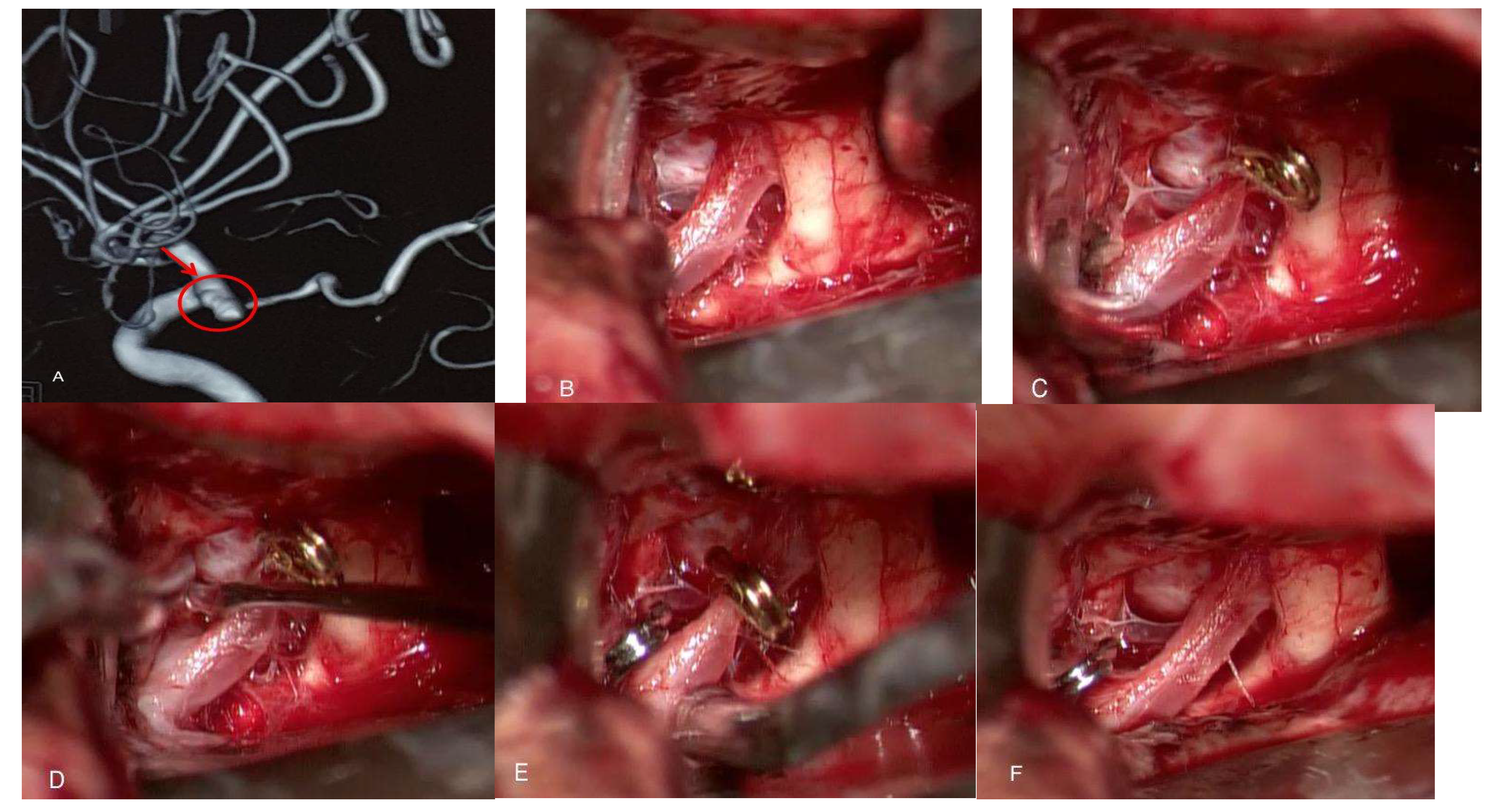Preprints 145191 g002