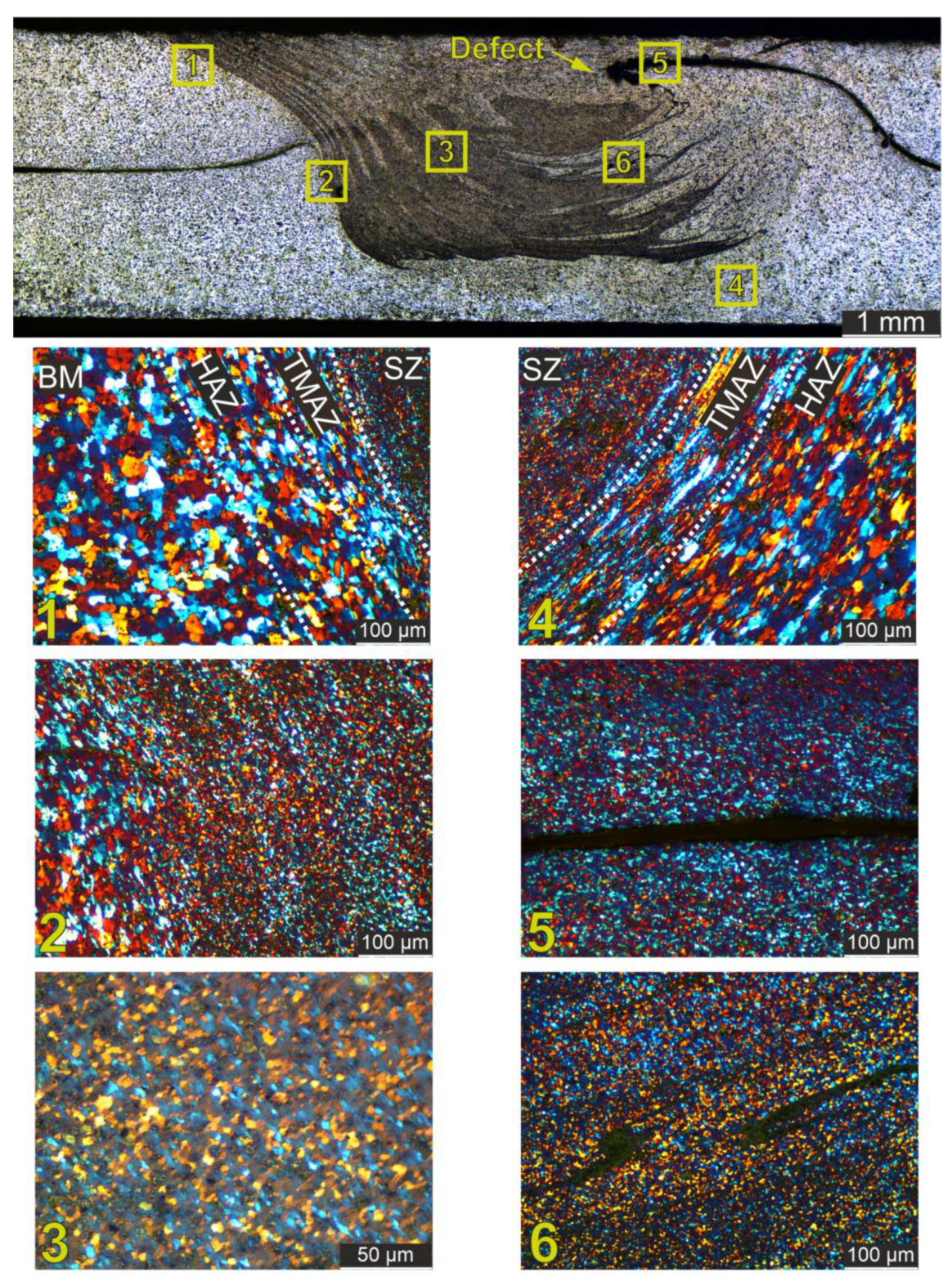 Preprints 142553 g014