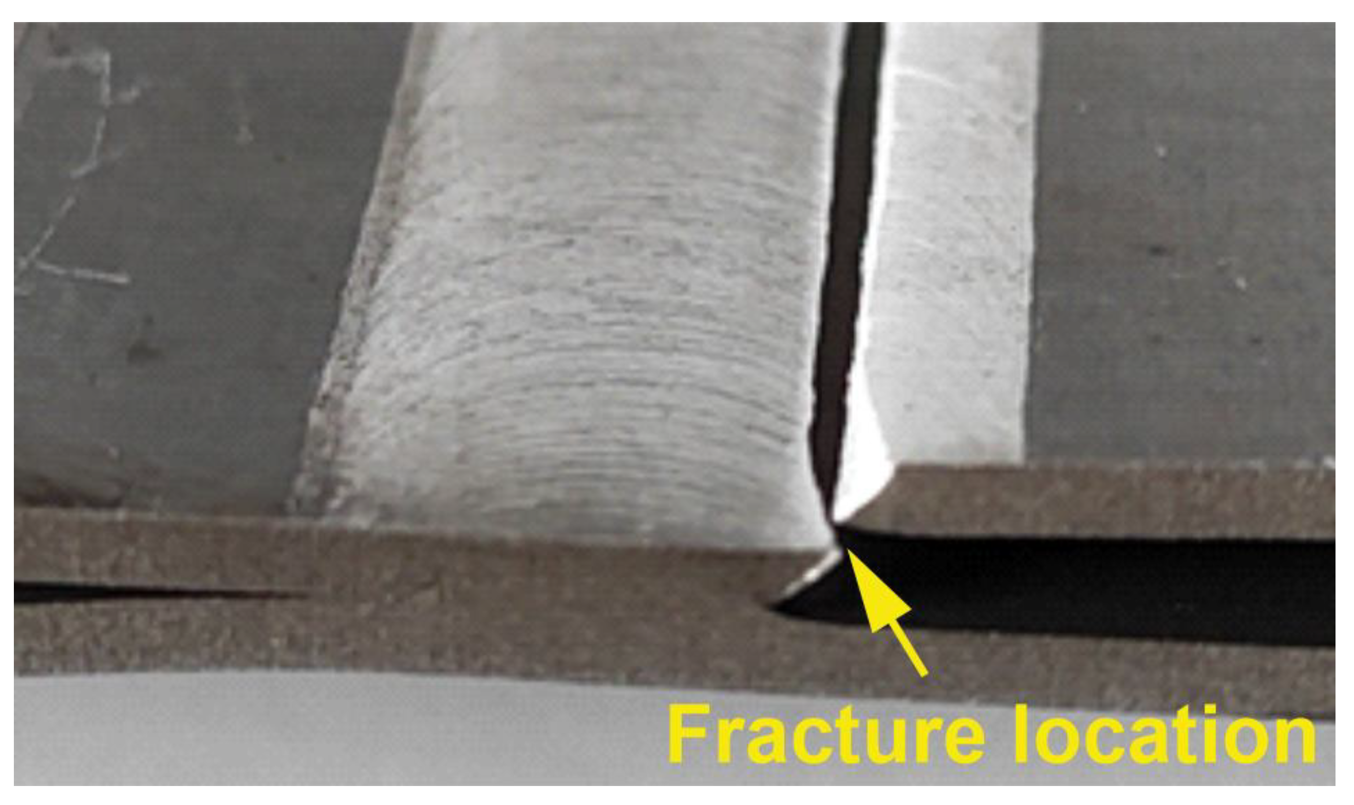 Preprints 142553 g015