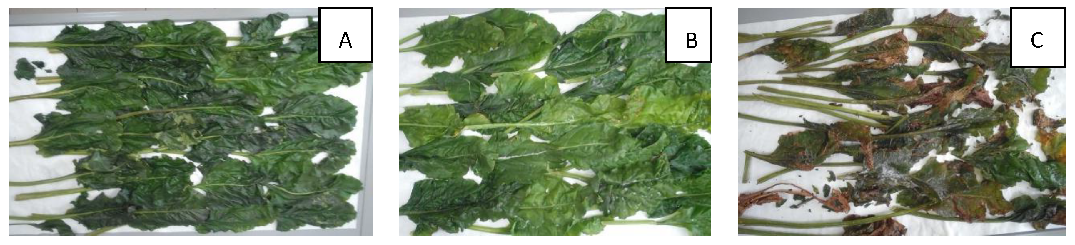 Preprints 187630 g005