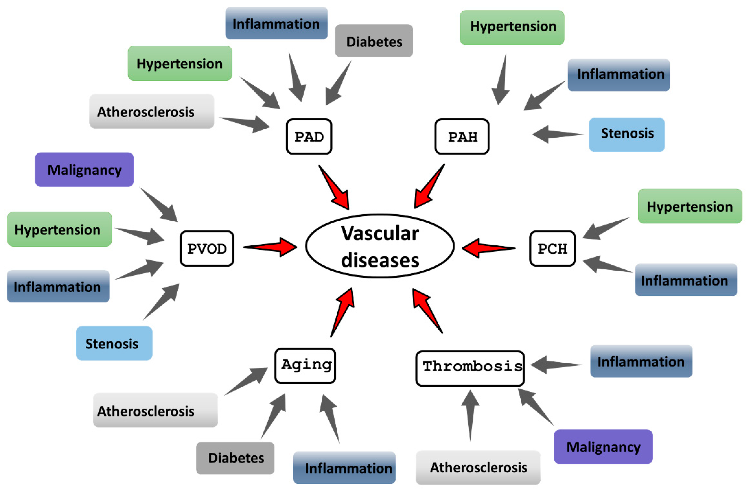 Preprints 189201 g001