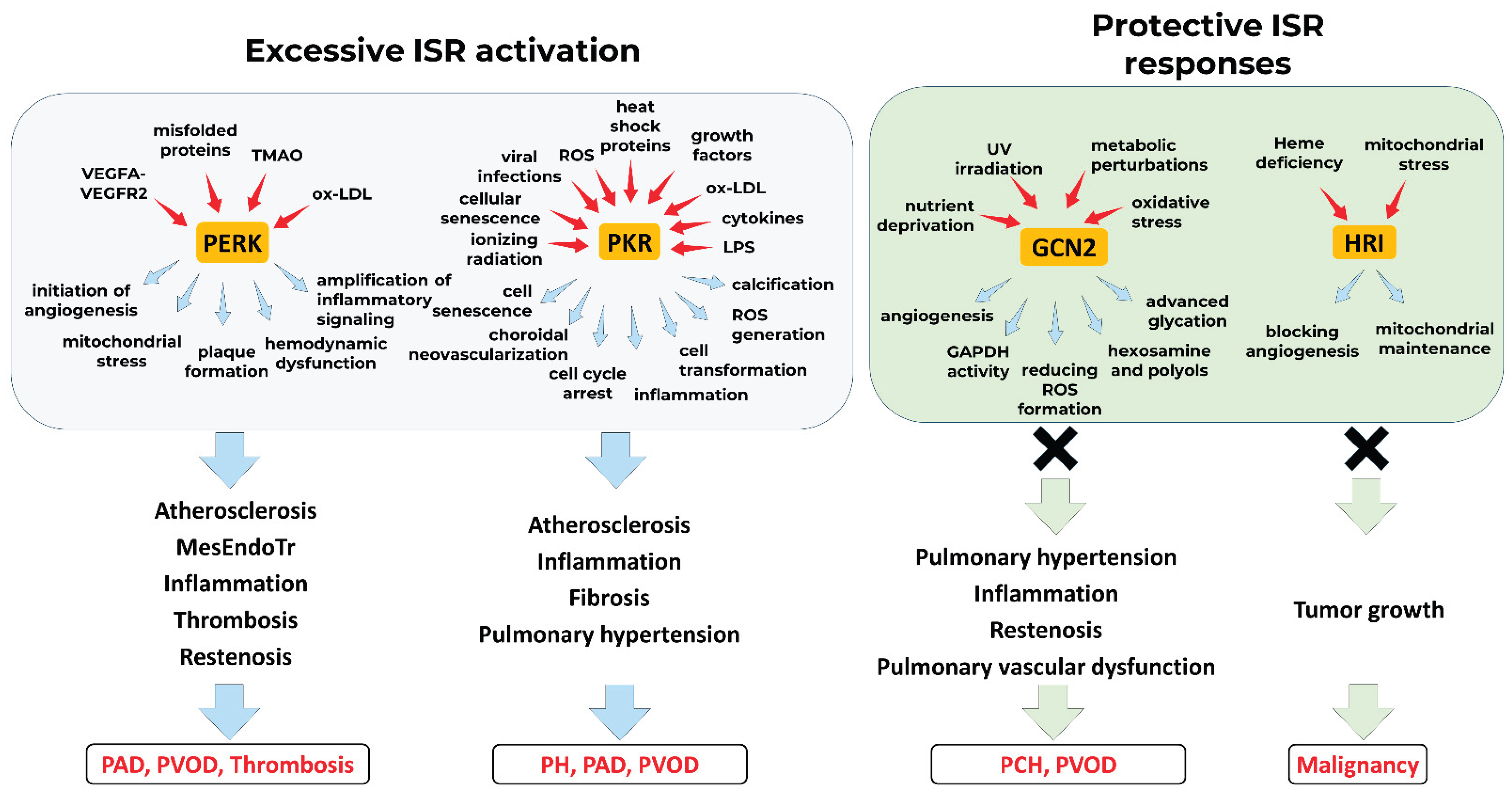 Preprints 189201 g003