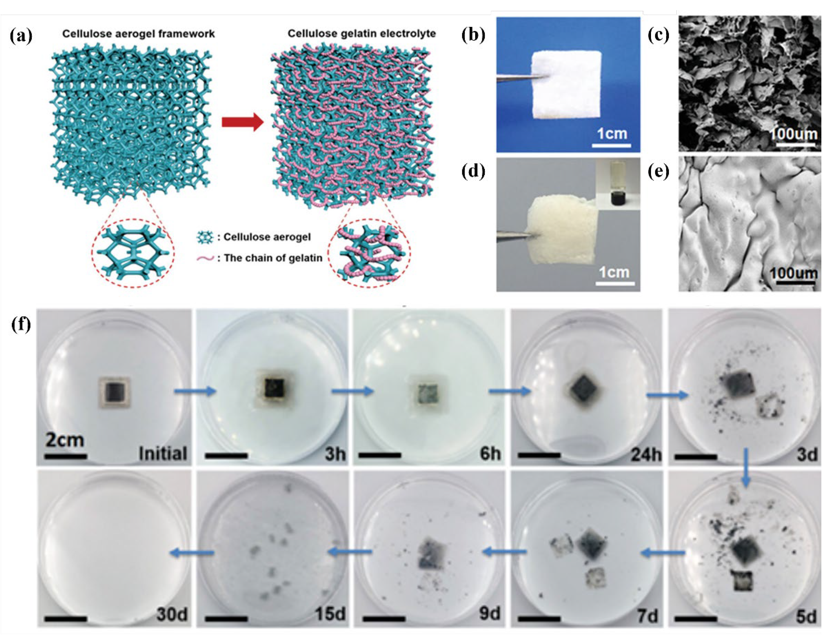 Preprints 75351 g009