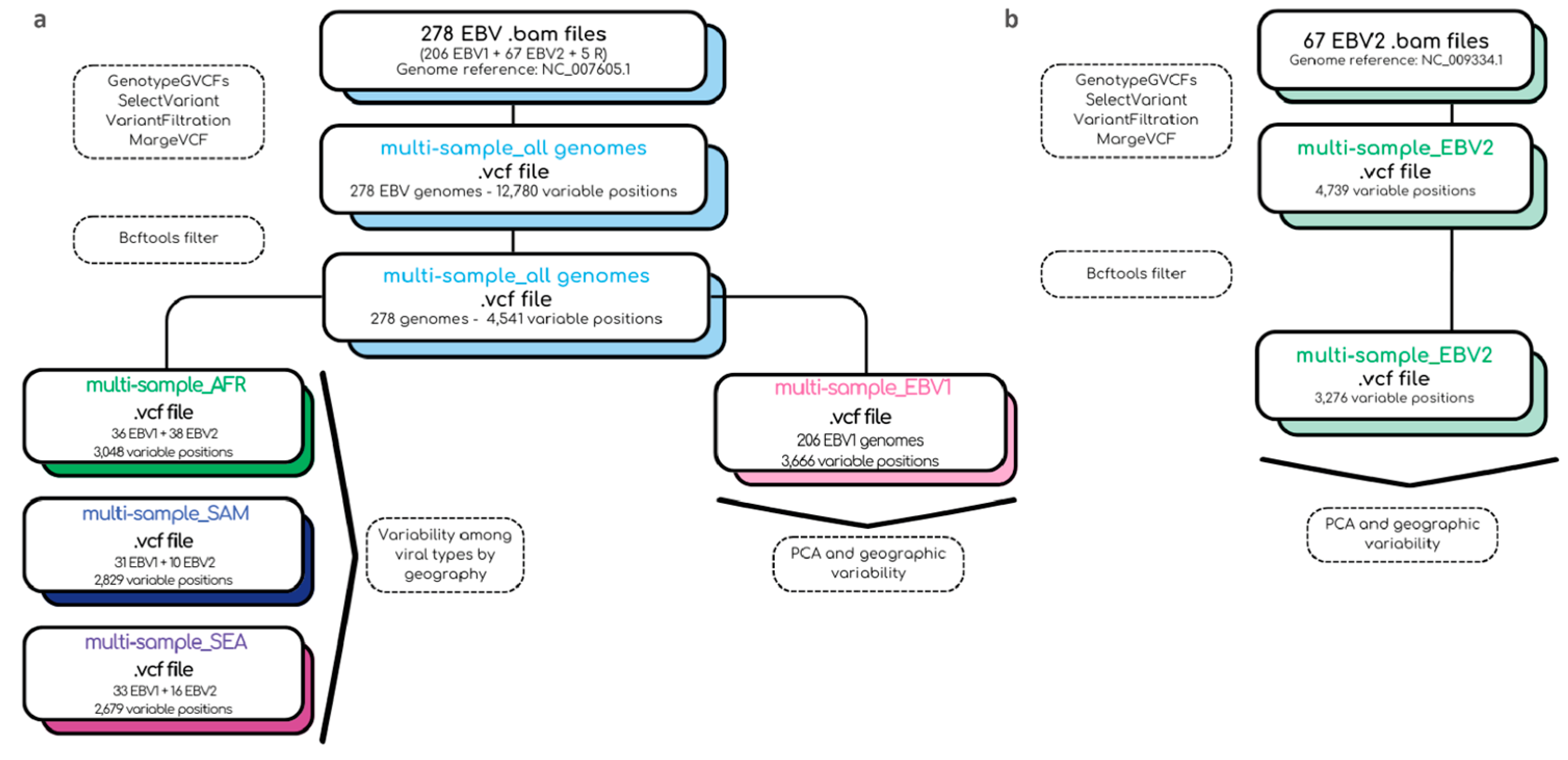 Preprints 142879 g001