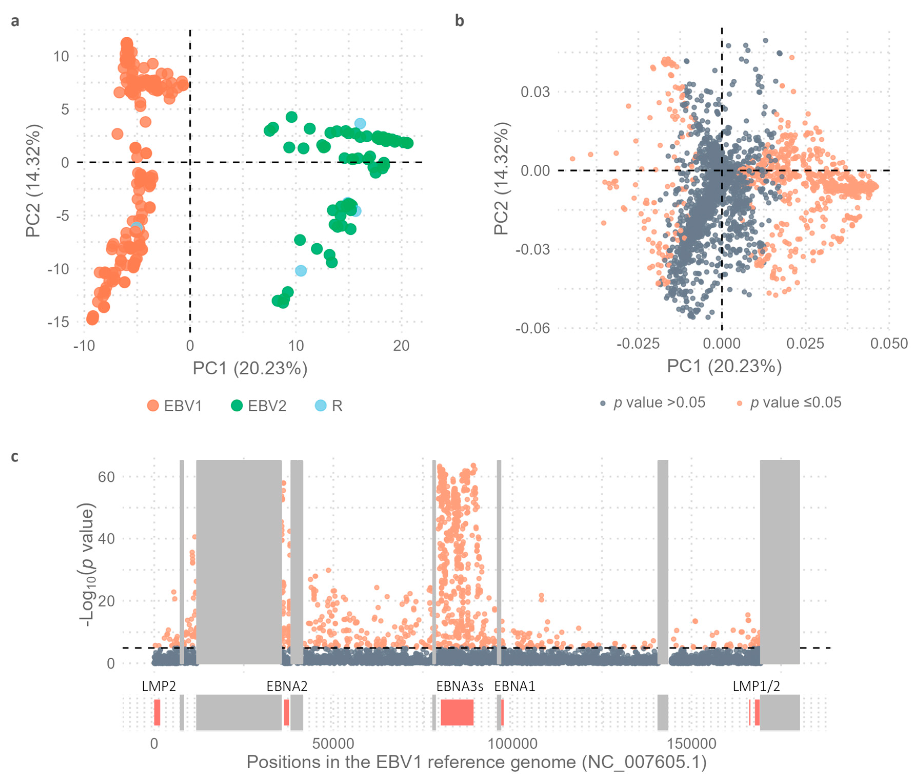Preprints 142879 g002