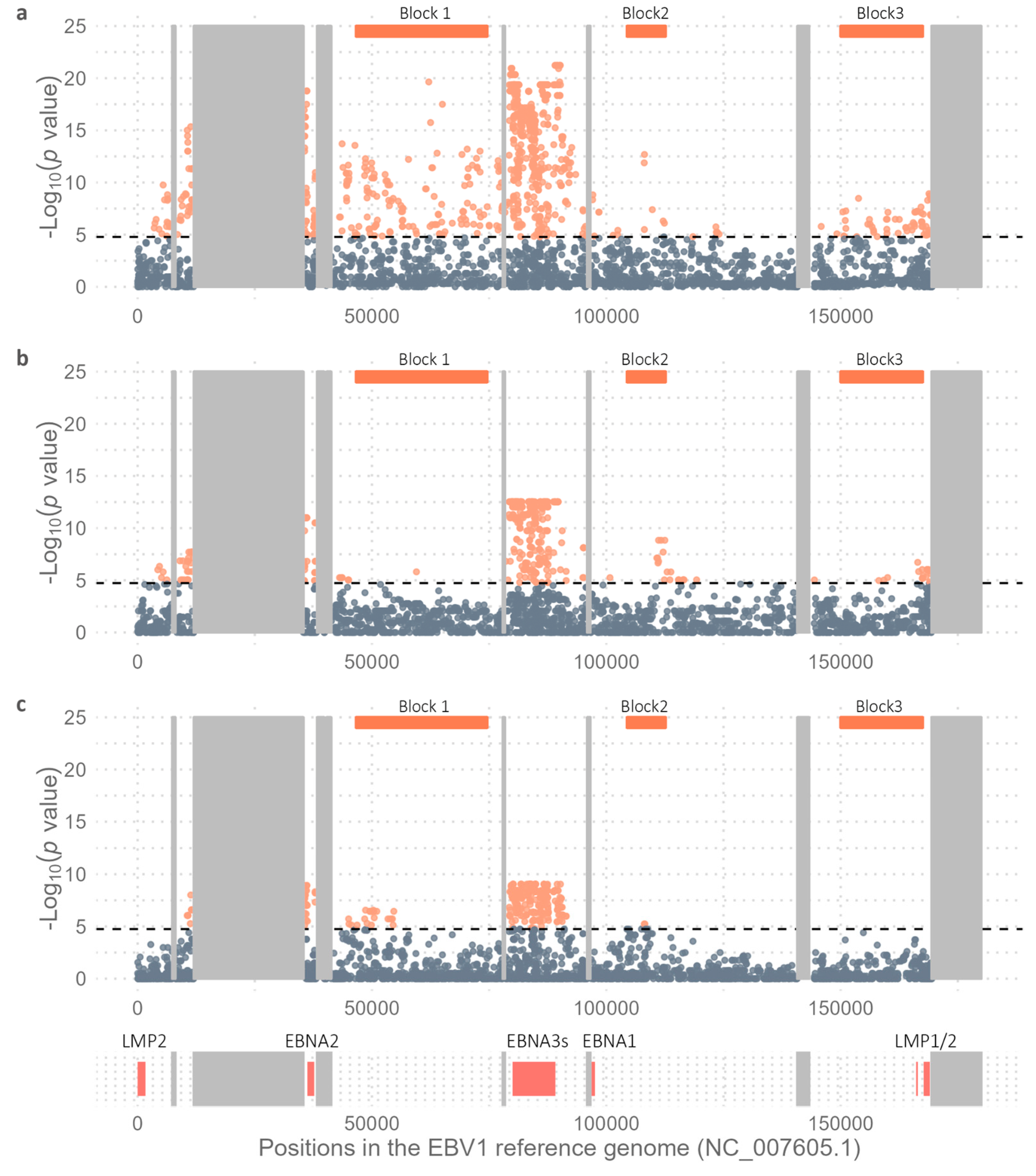 Preprints 142879 g003