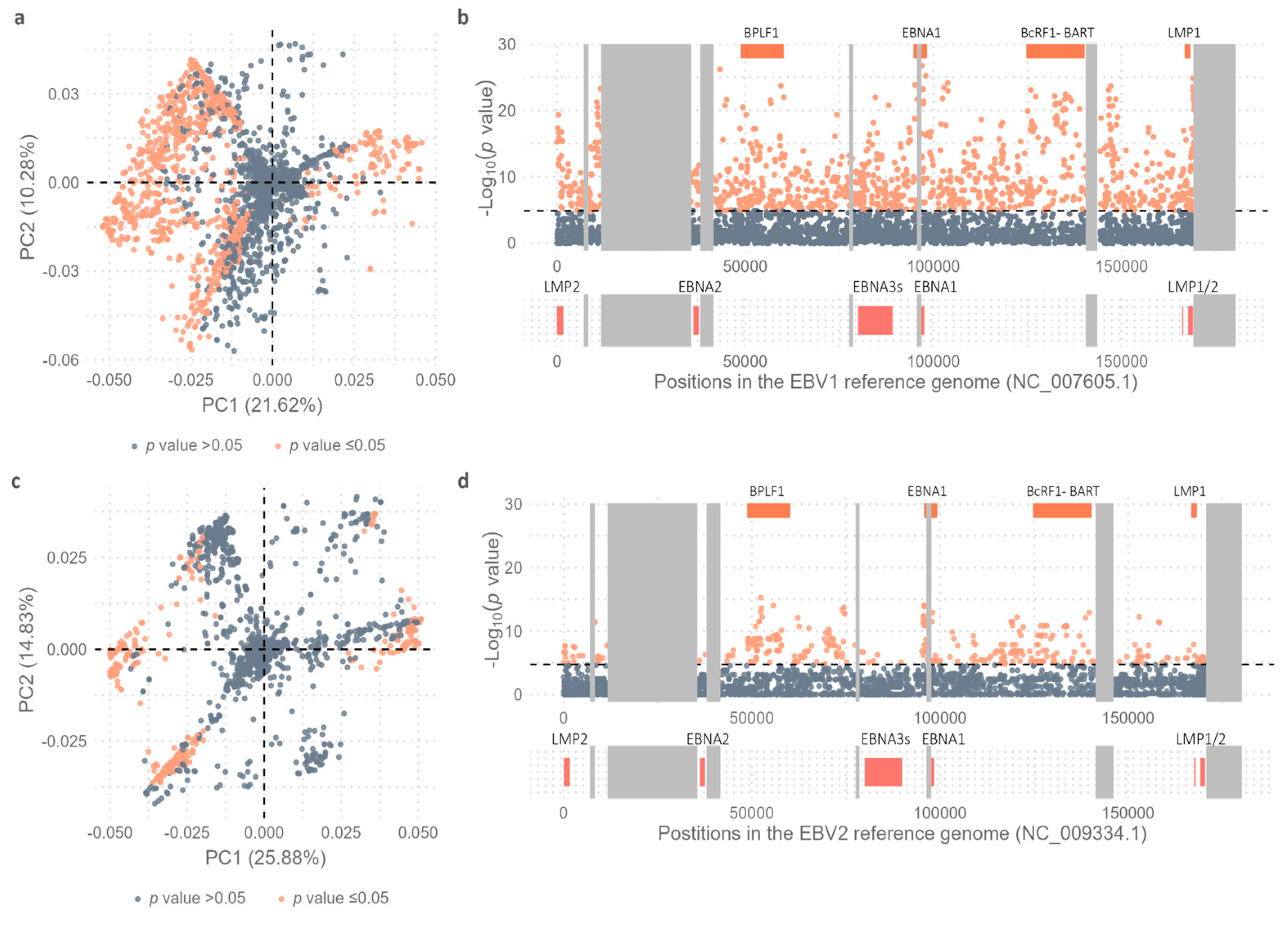 Preprints 142879 g006