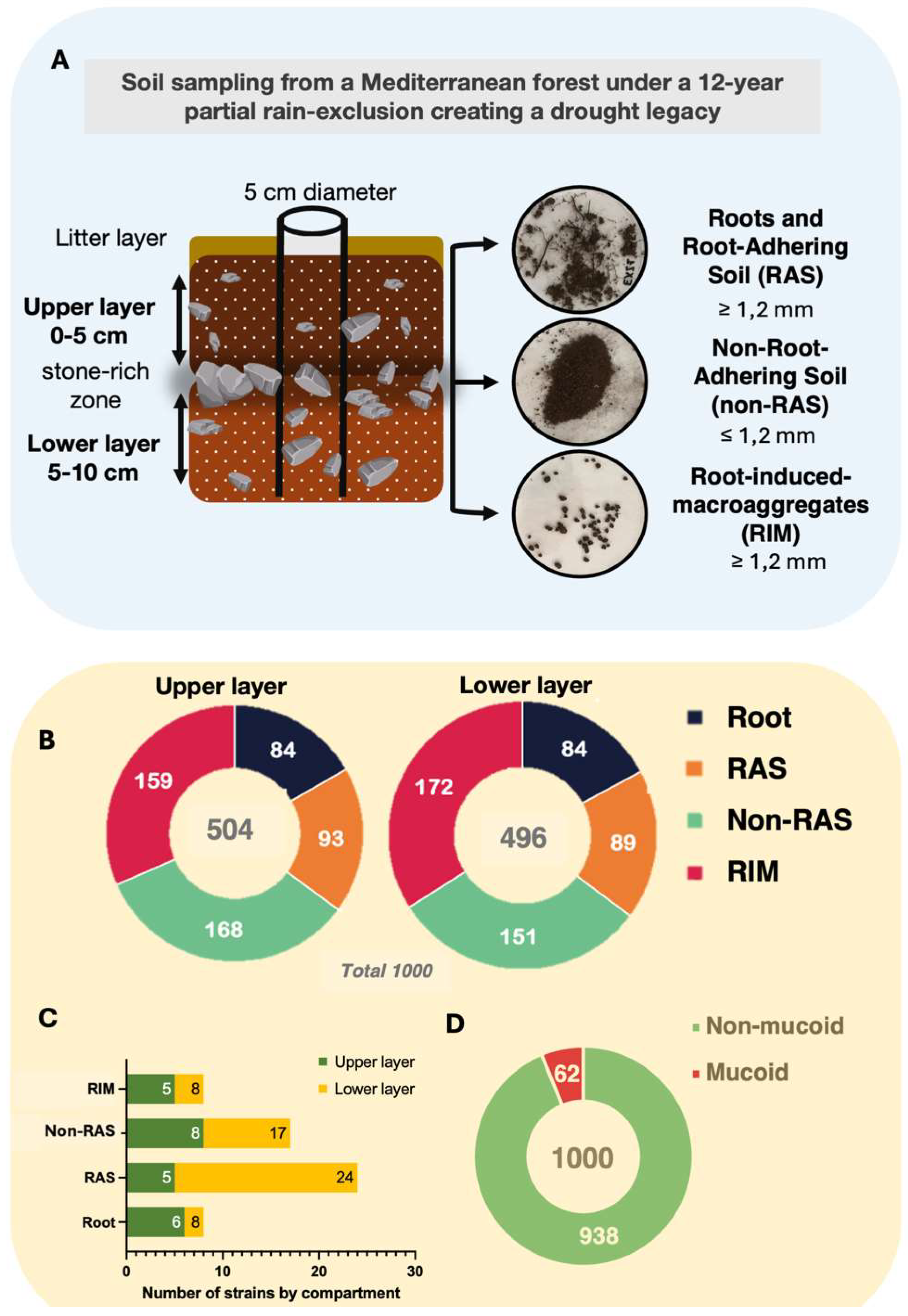 Preprints 156020 g002