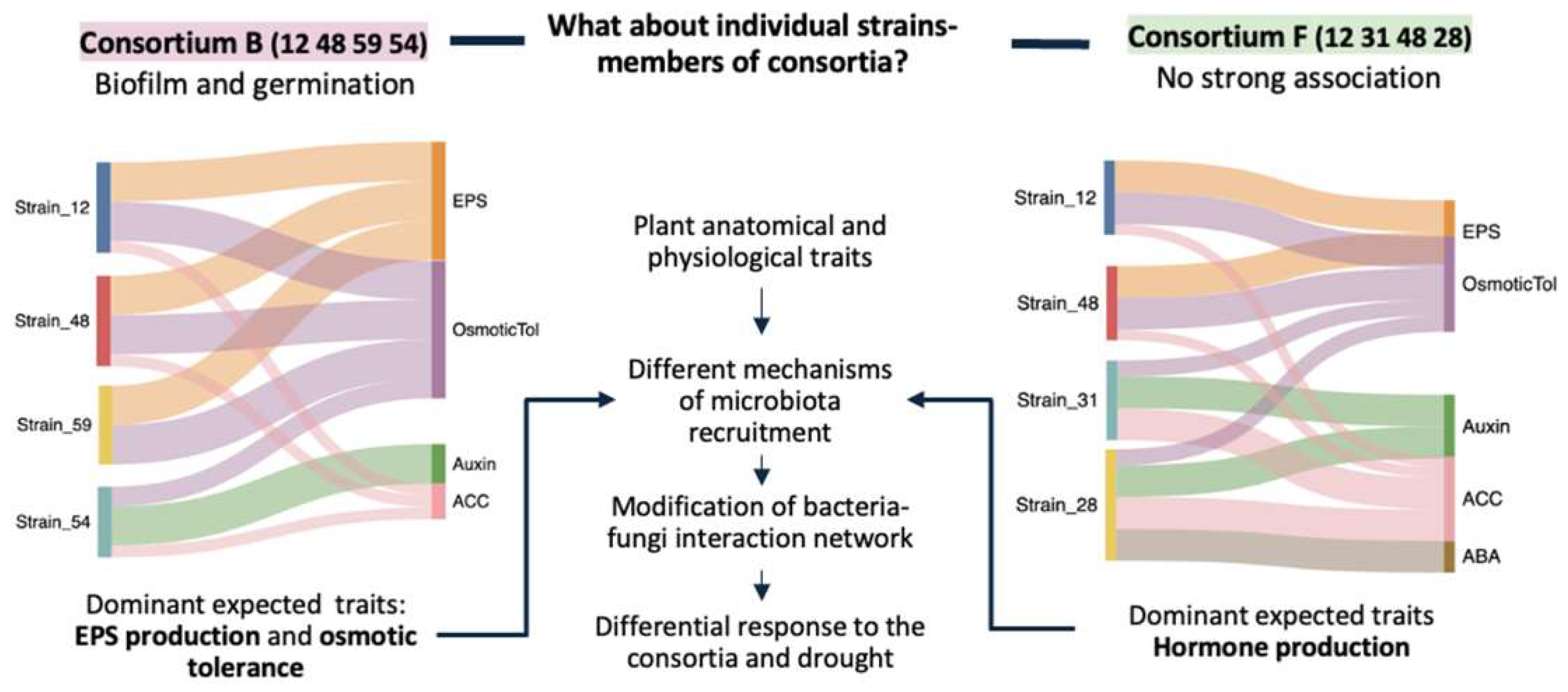 Preprints 156020 g006
