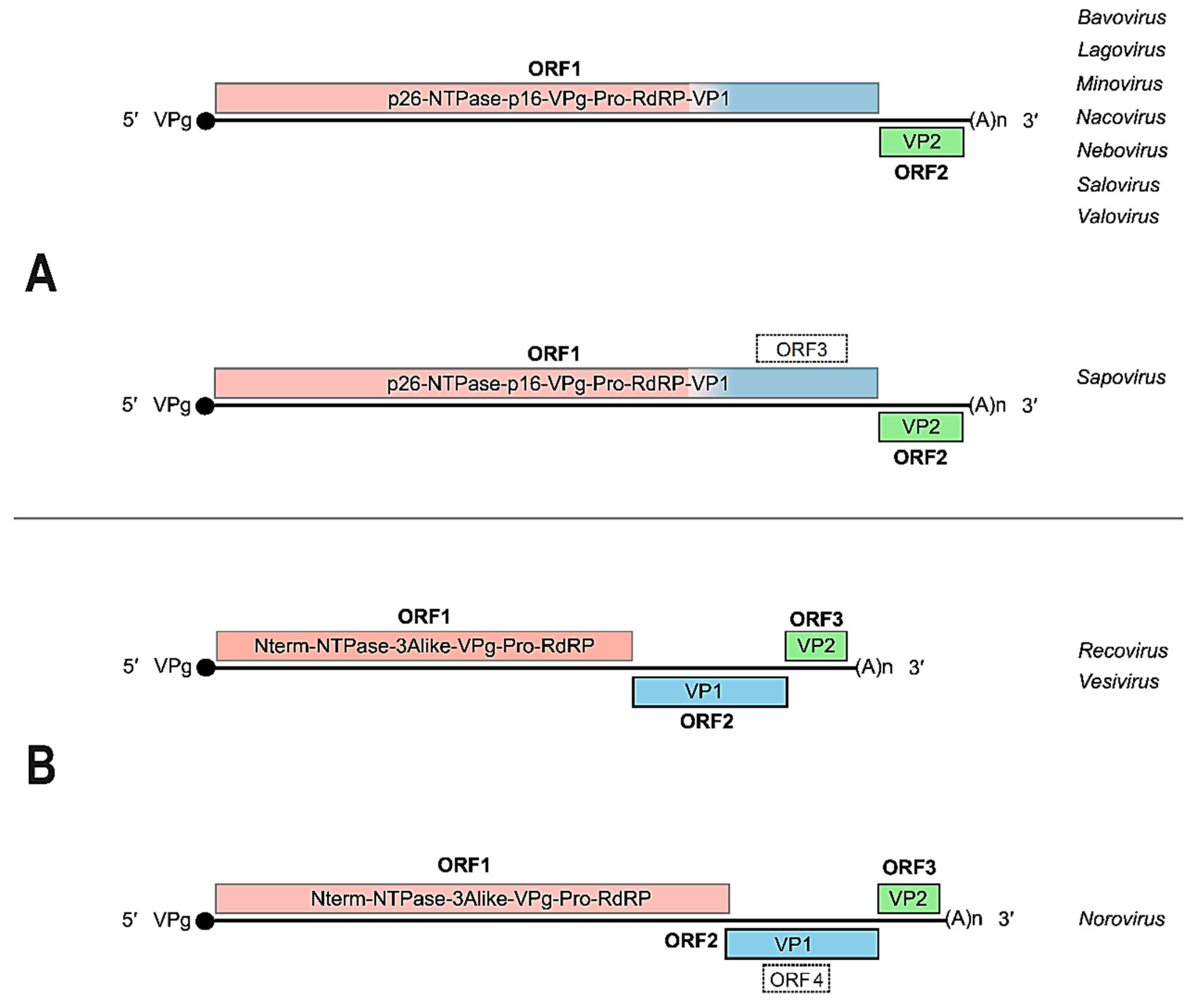 Preprints 102126 g002