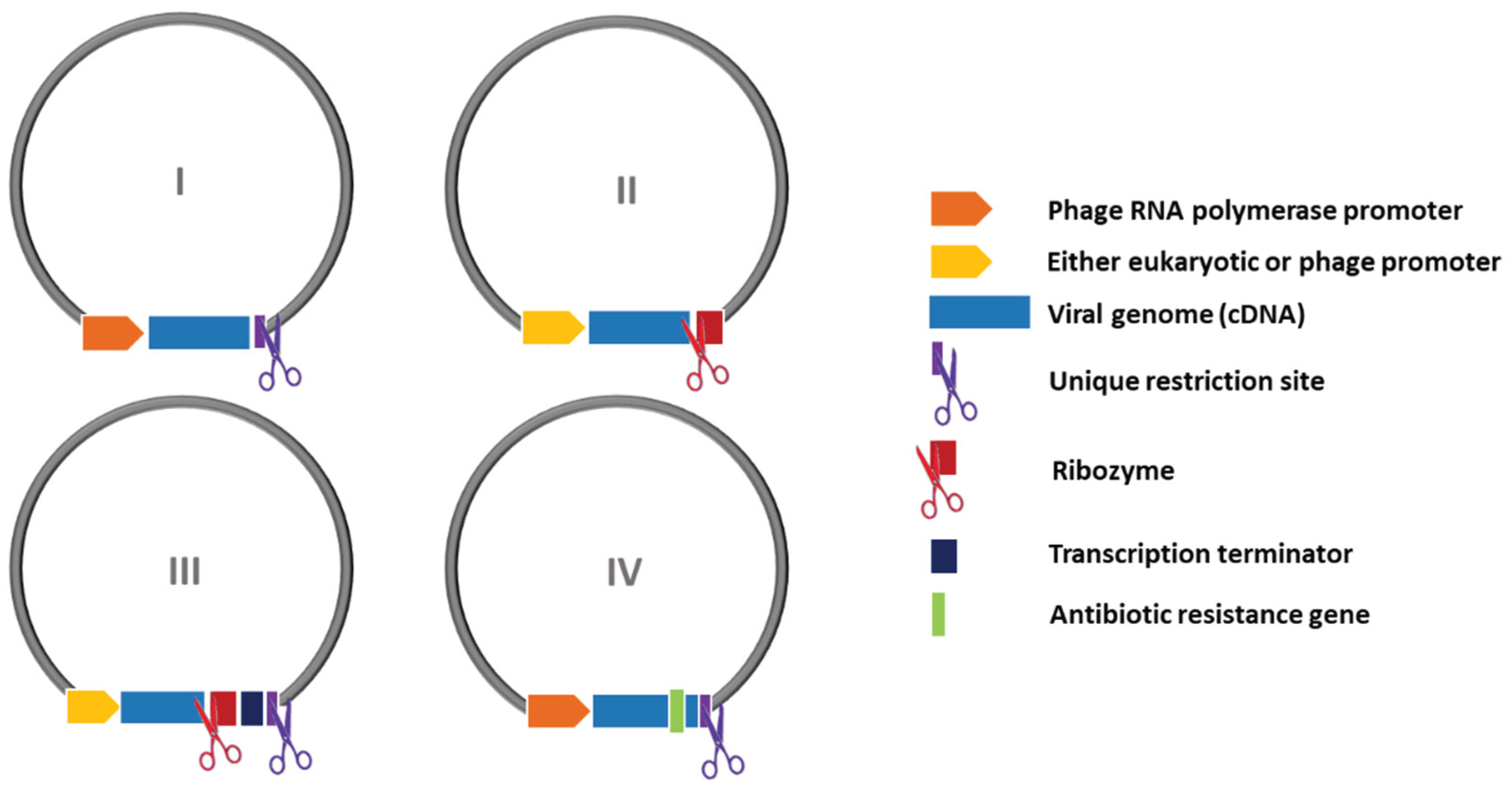 Preprints 102126 g006