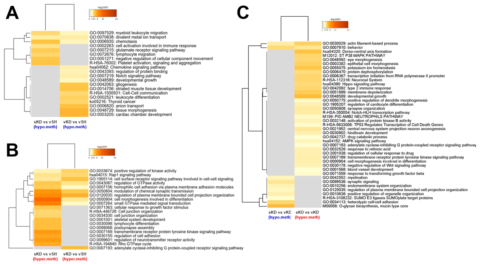 Preprints 222582 g003