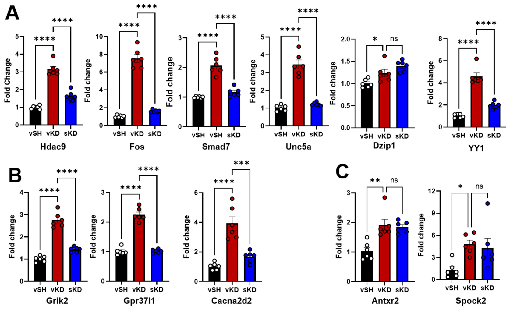 Preprints 222582 g006