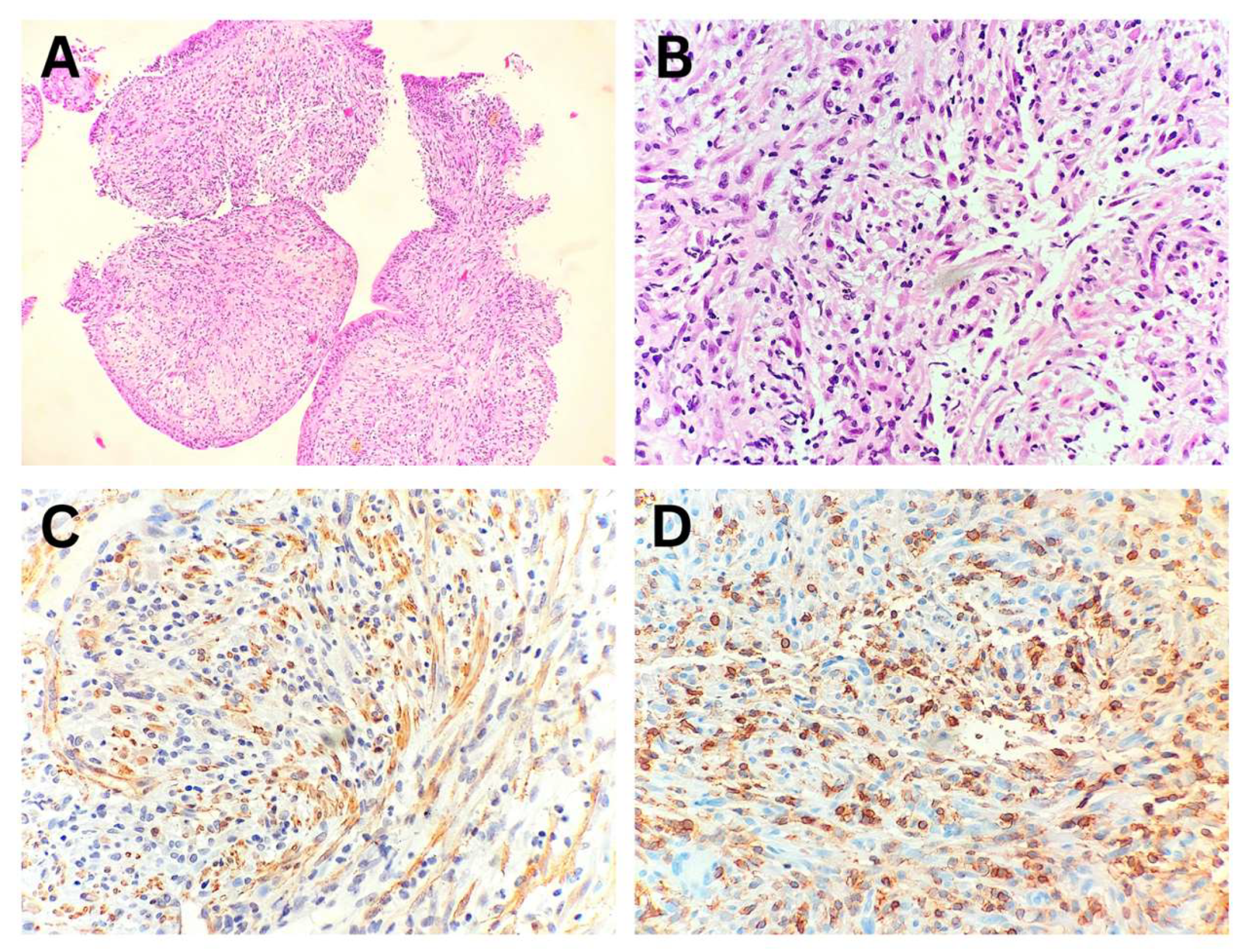 Preprints 157970 g003