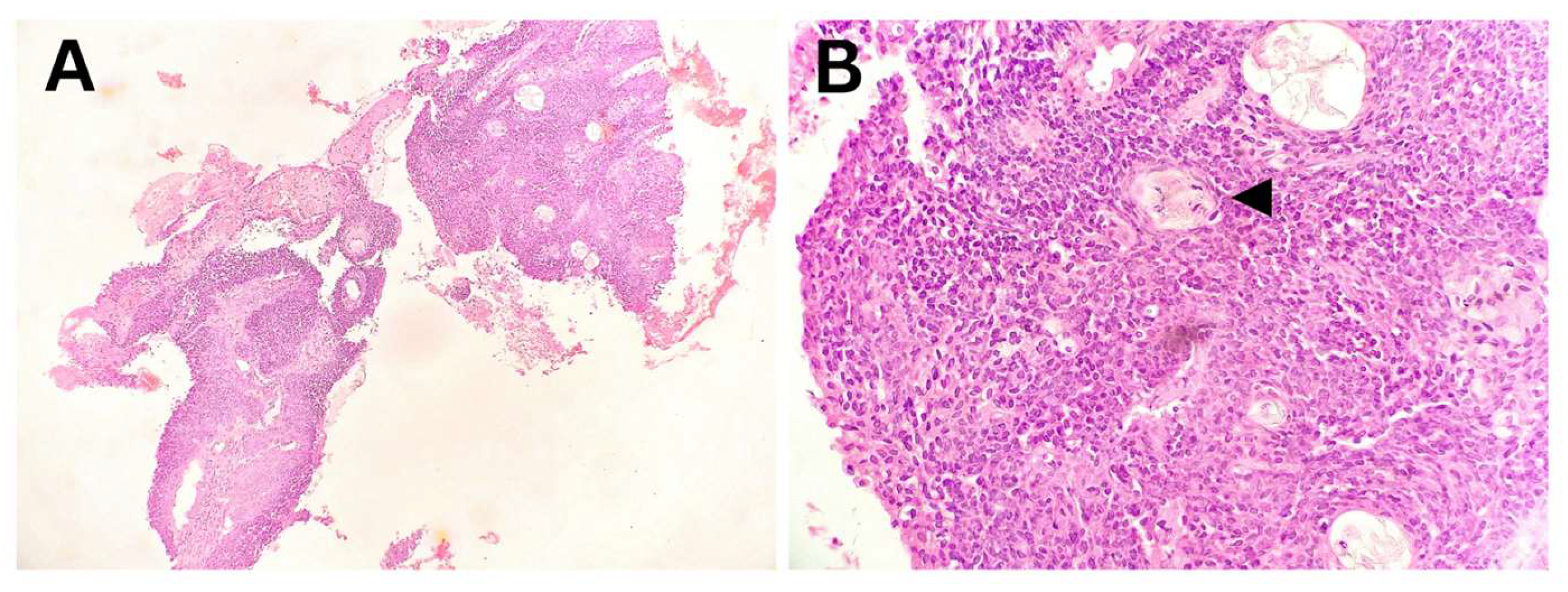 Preprints 157970 g006