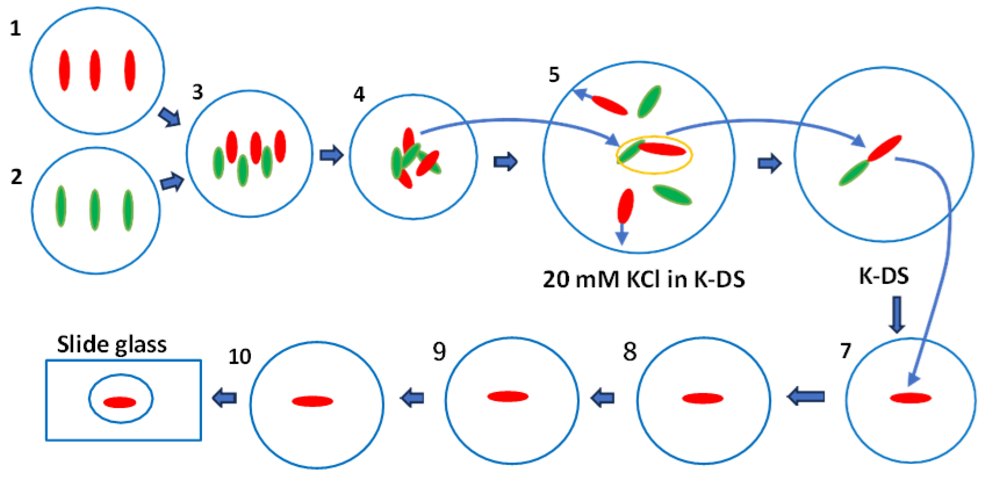 Preprints 189425 g001