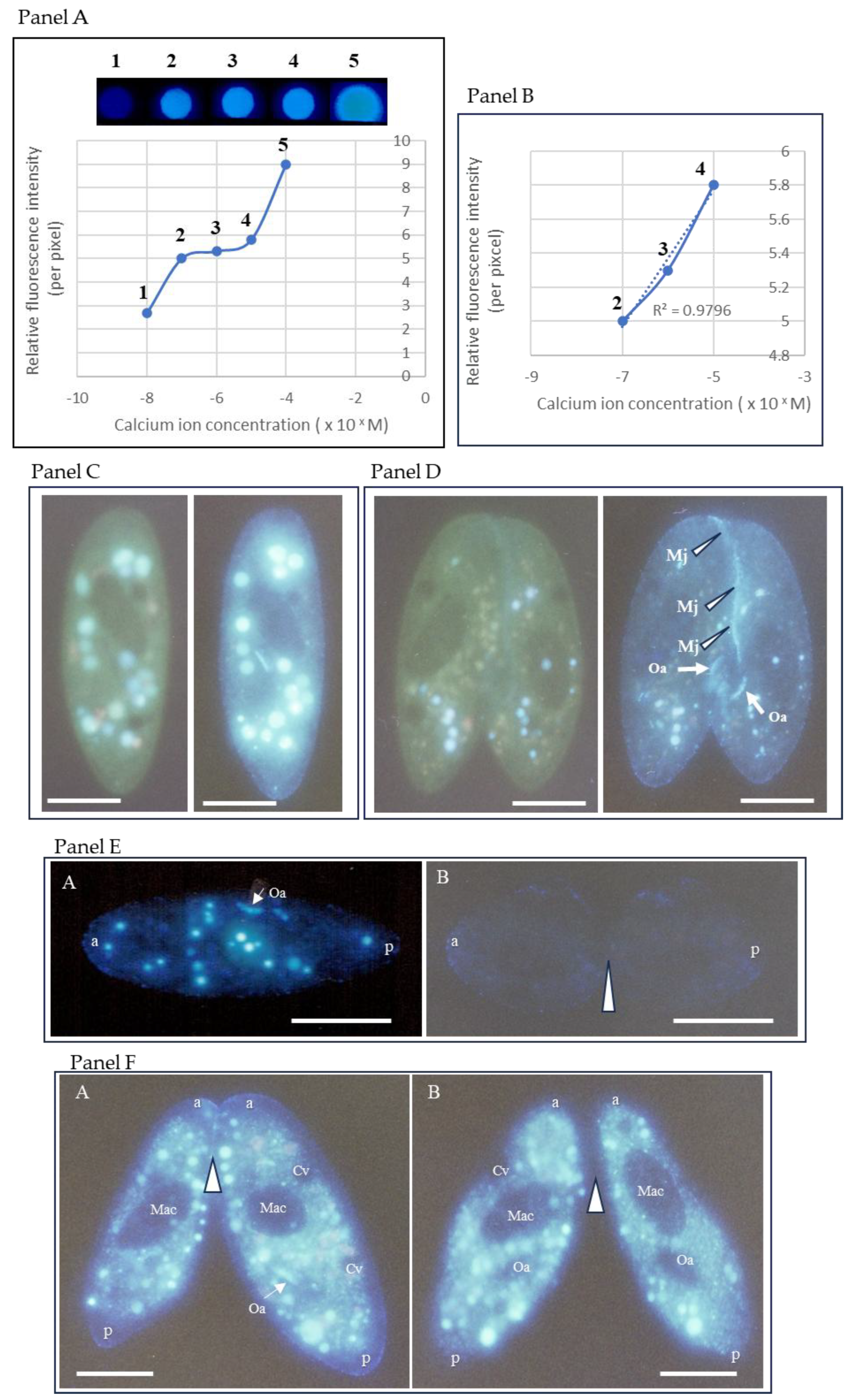 Preprints 189425 g002