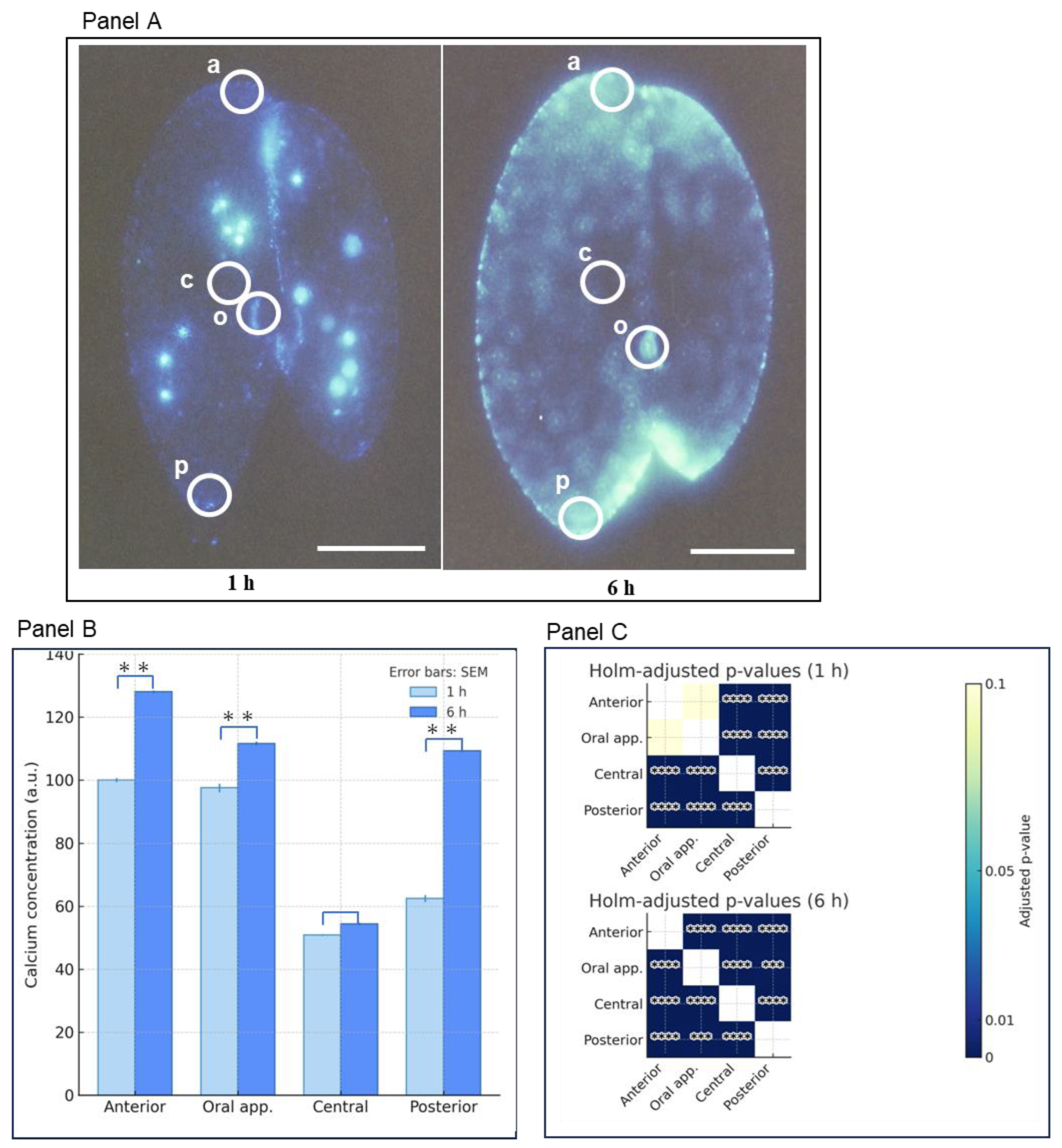 Preprints 189425 g004