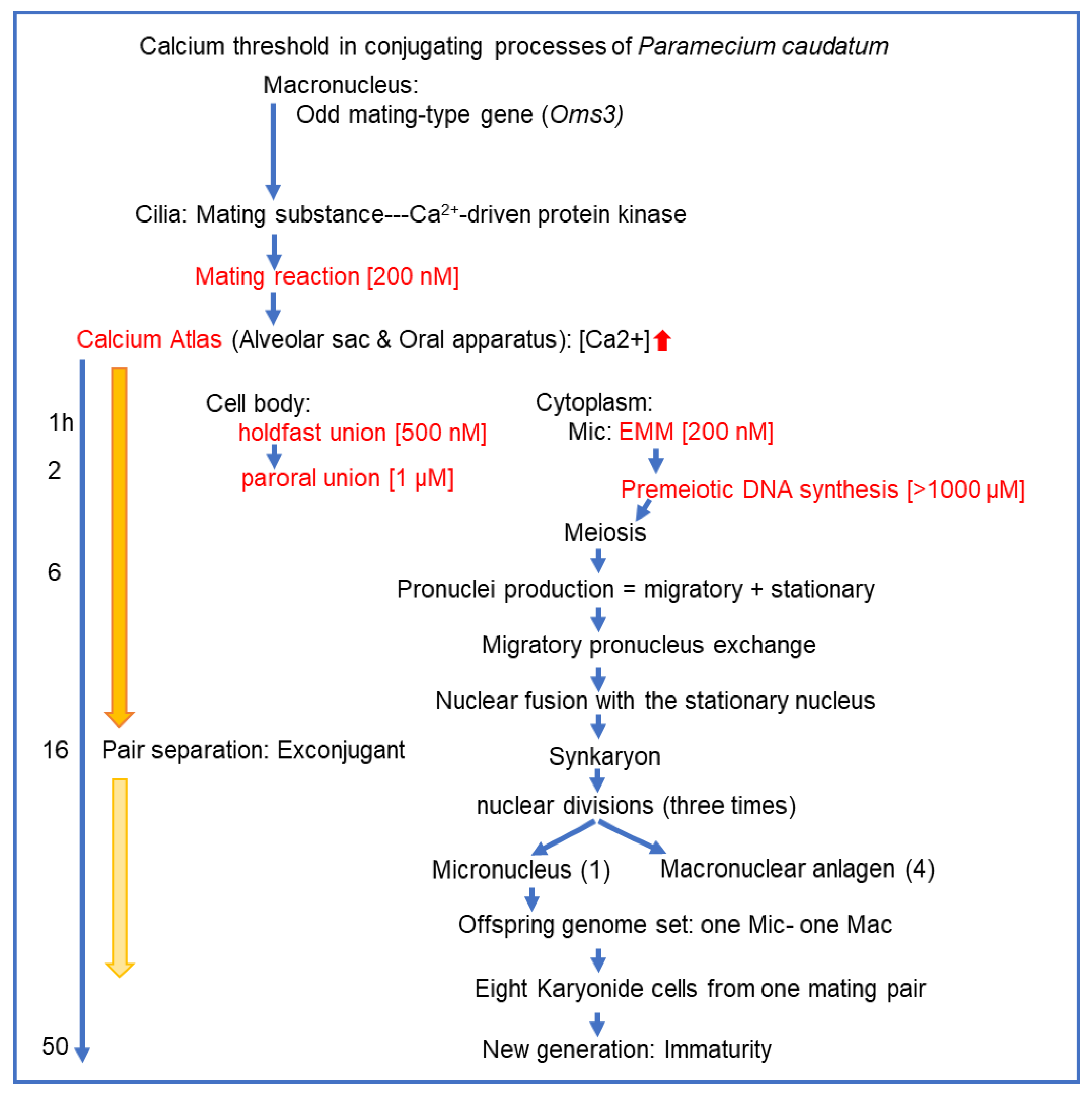 Preprints 189425 g007