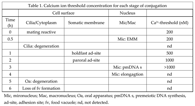 Preprints 189425 i001