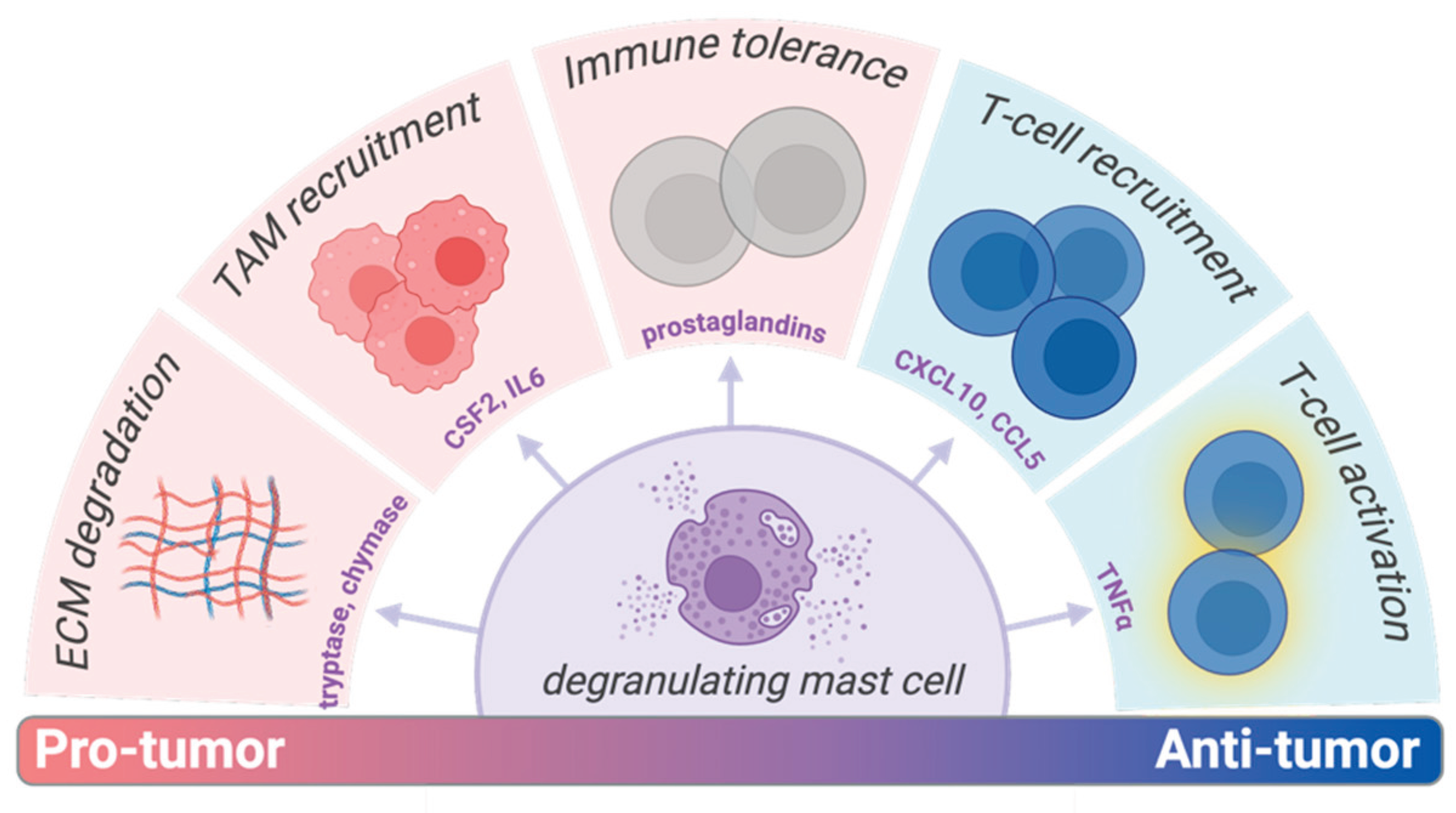 Preprints 165933 g001