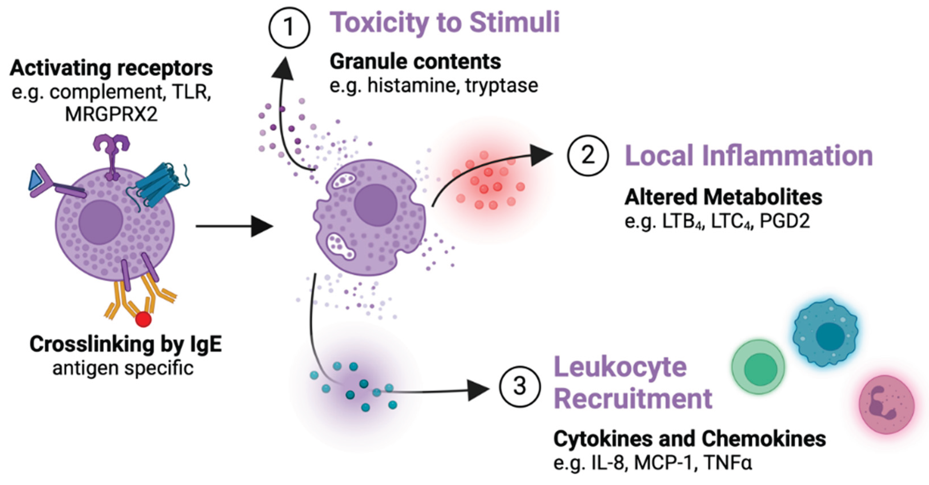 Preprints 165933 g002