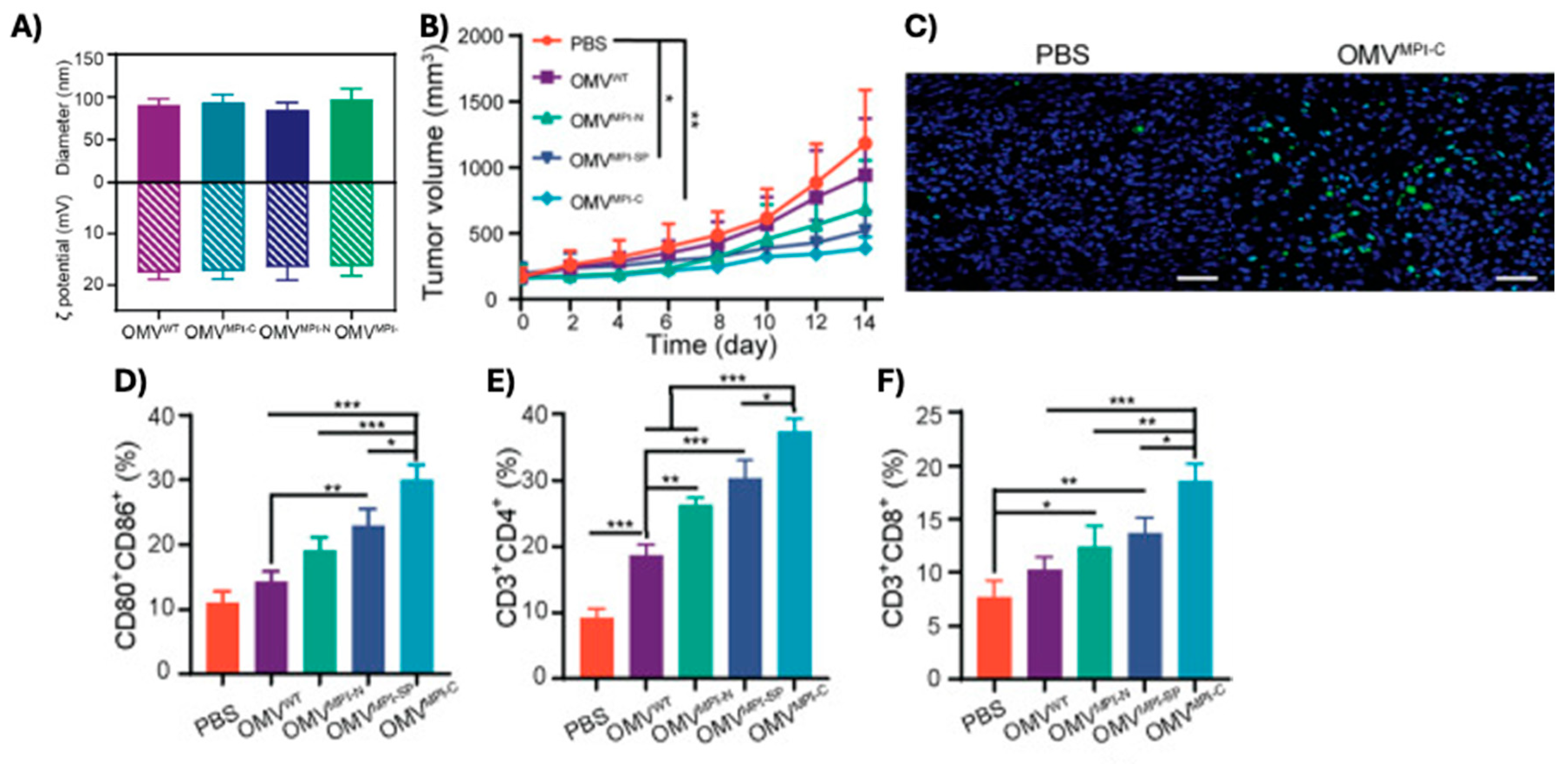 Preprints 165933 g006